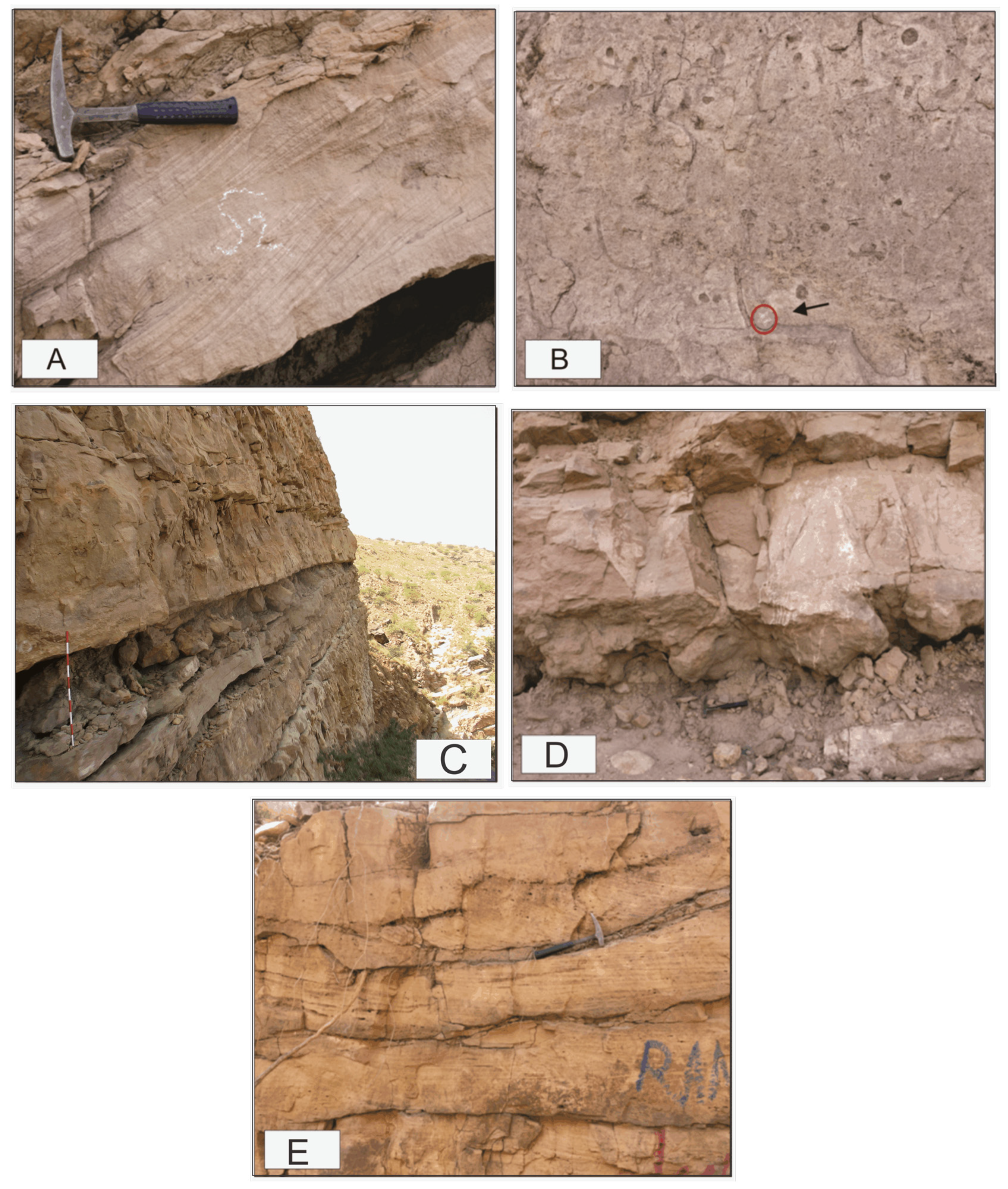 Jmse 11 00726 g008 Jmse 11 00726 g008