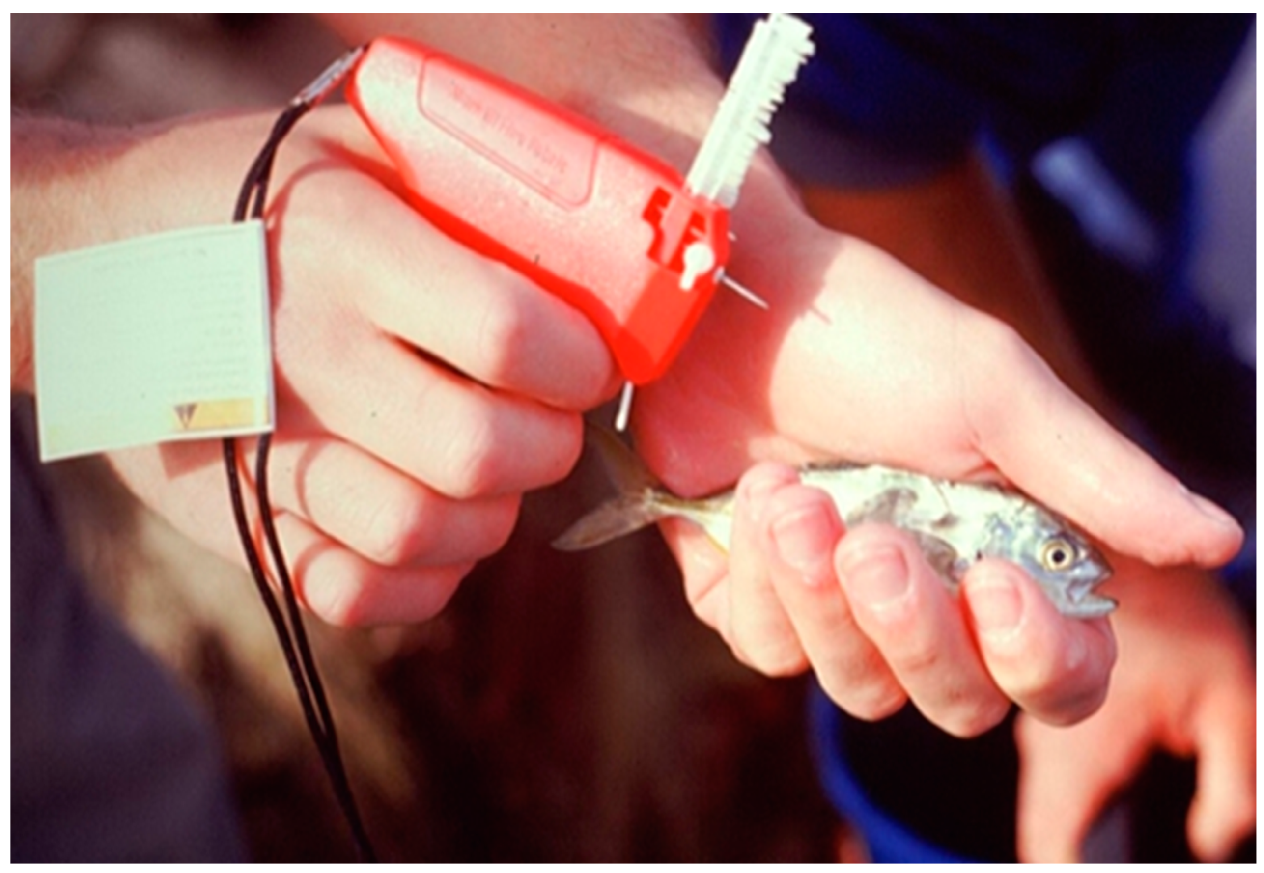 Jmse 11 00746 g002 Jmse 11 00746 g002