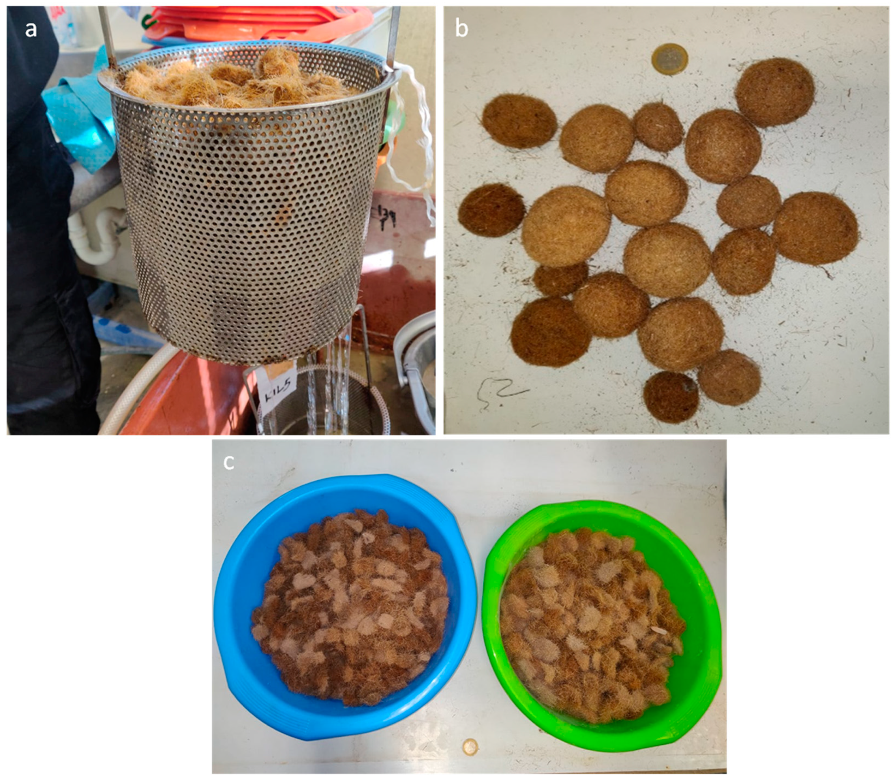 Jmse 11 00749 g002 Jmse 11 00749 g002