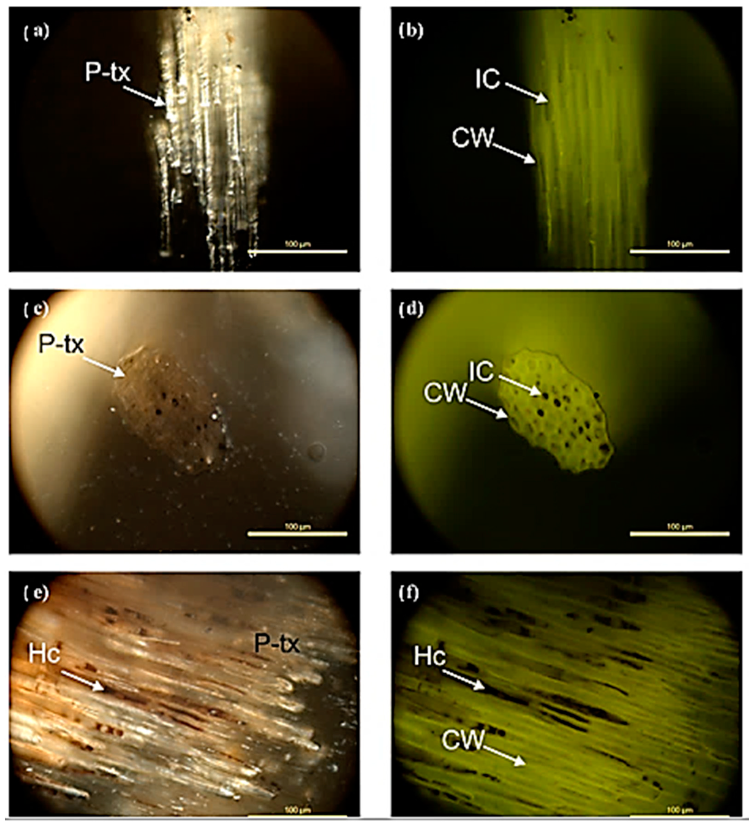 Jmse 11 00749 g005 Jmse 11 00749 g005
