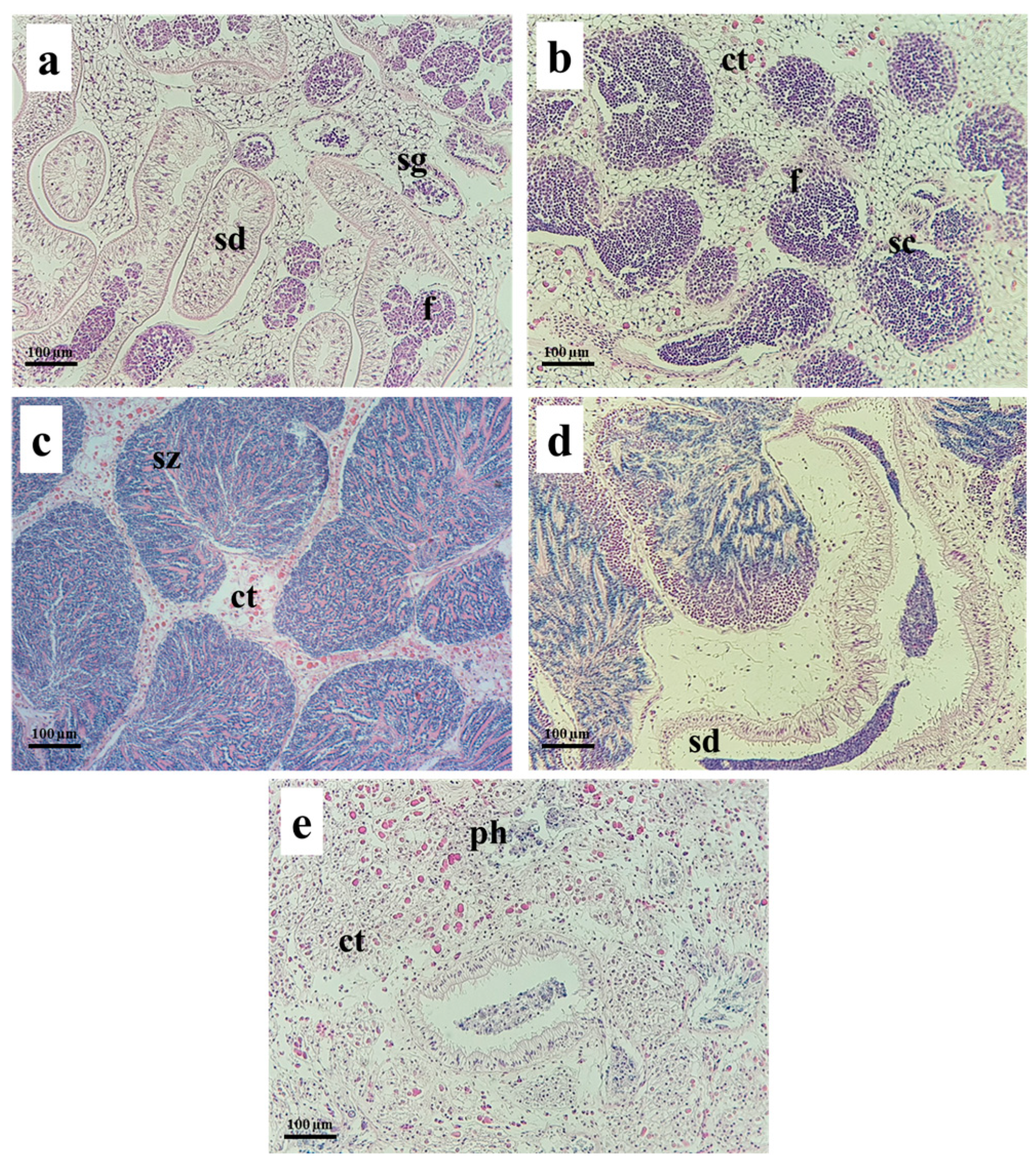 Jmse 11 00776 g005 Jmse 11 00776 g005