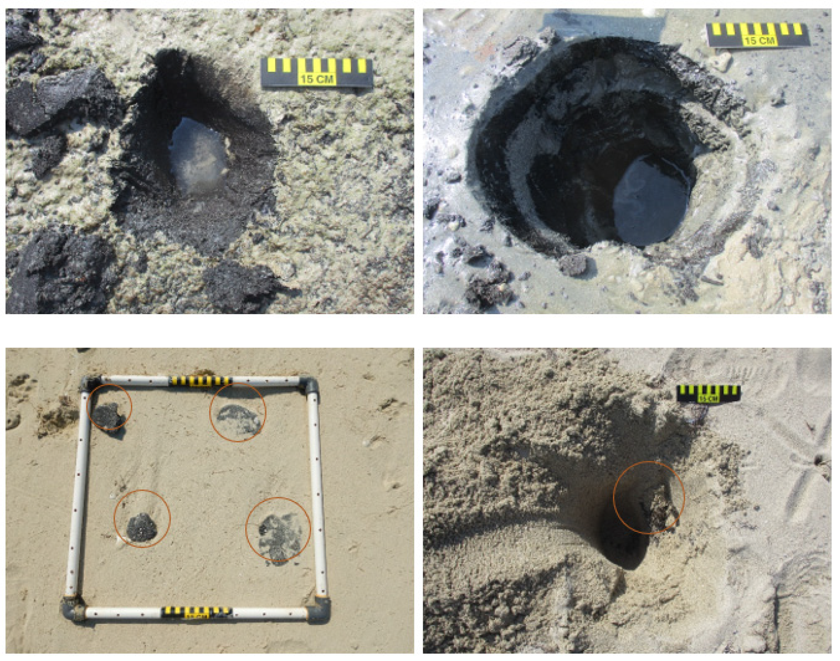 Jmse 11 00785 g003 Jmse 11 00785 g003