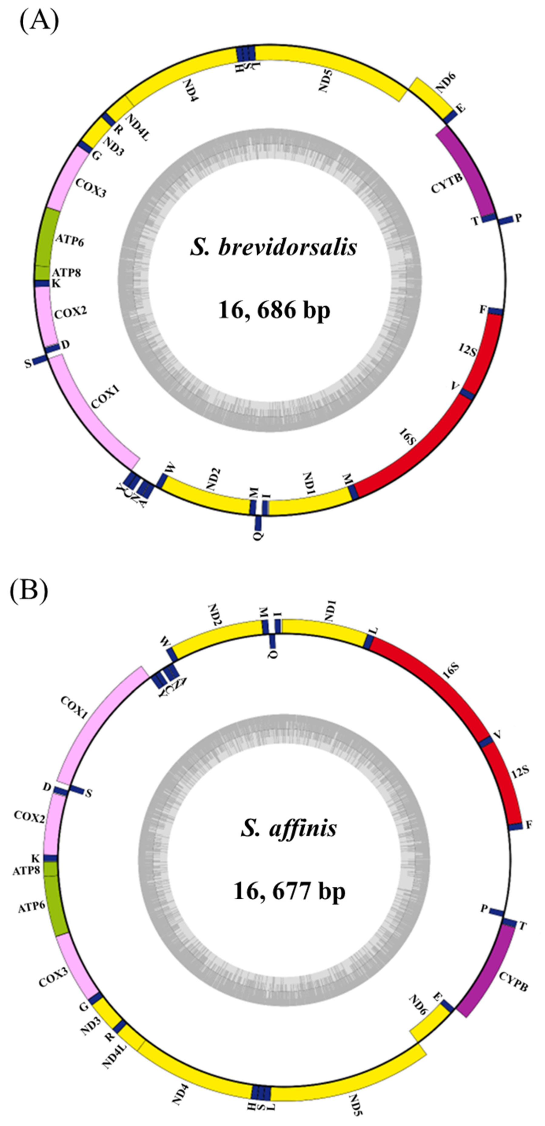 Jmse 11 00860 g001 Jmse 11 00860 g001