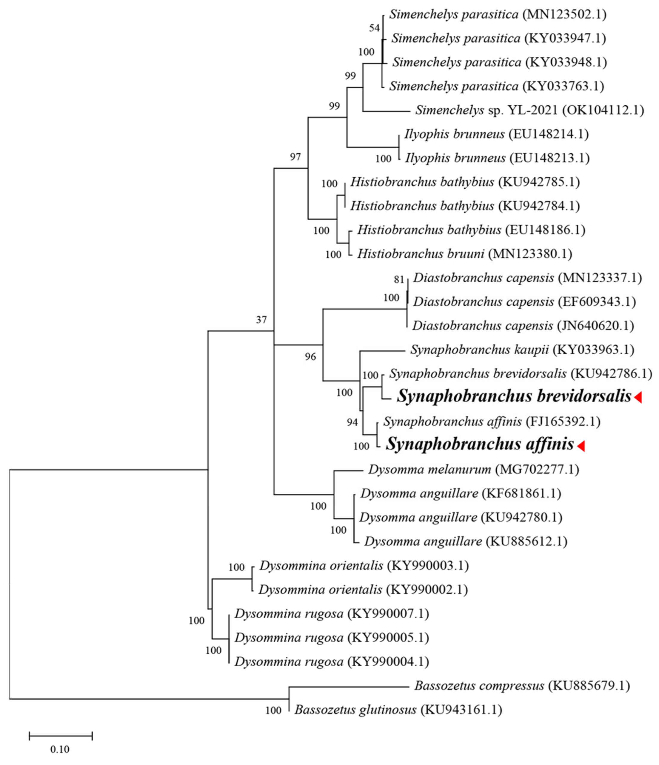 Jmse 11 00860 g002 Jmse 11 00860 g002