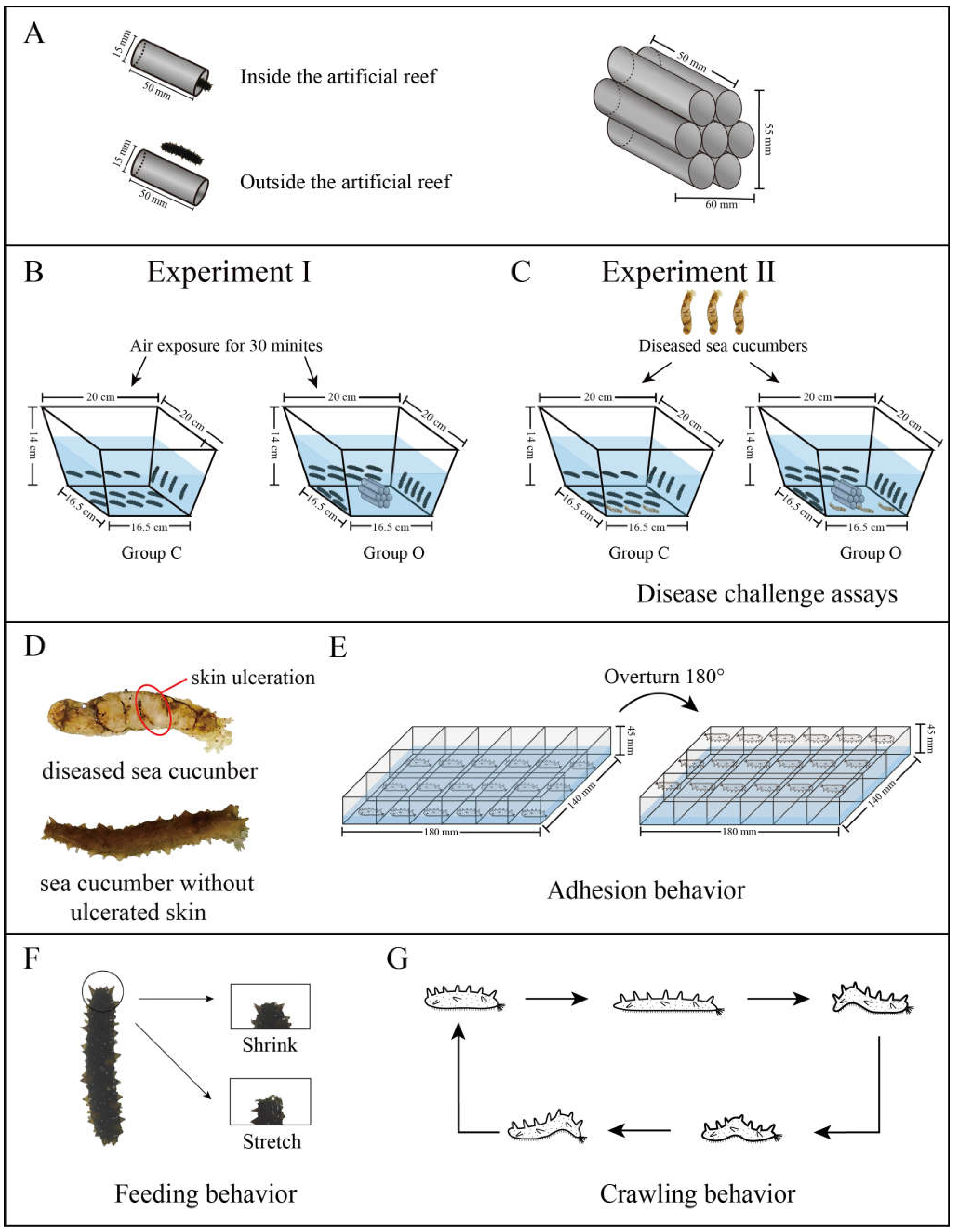 Jmse 11 00948 g001 550