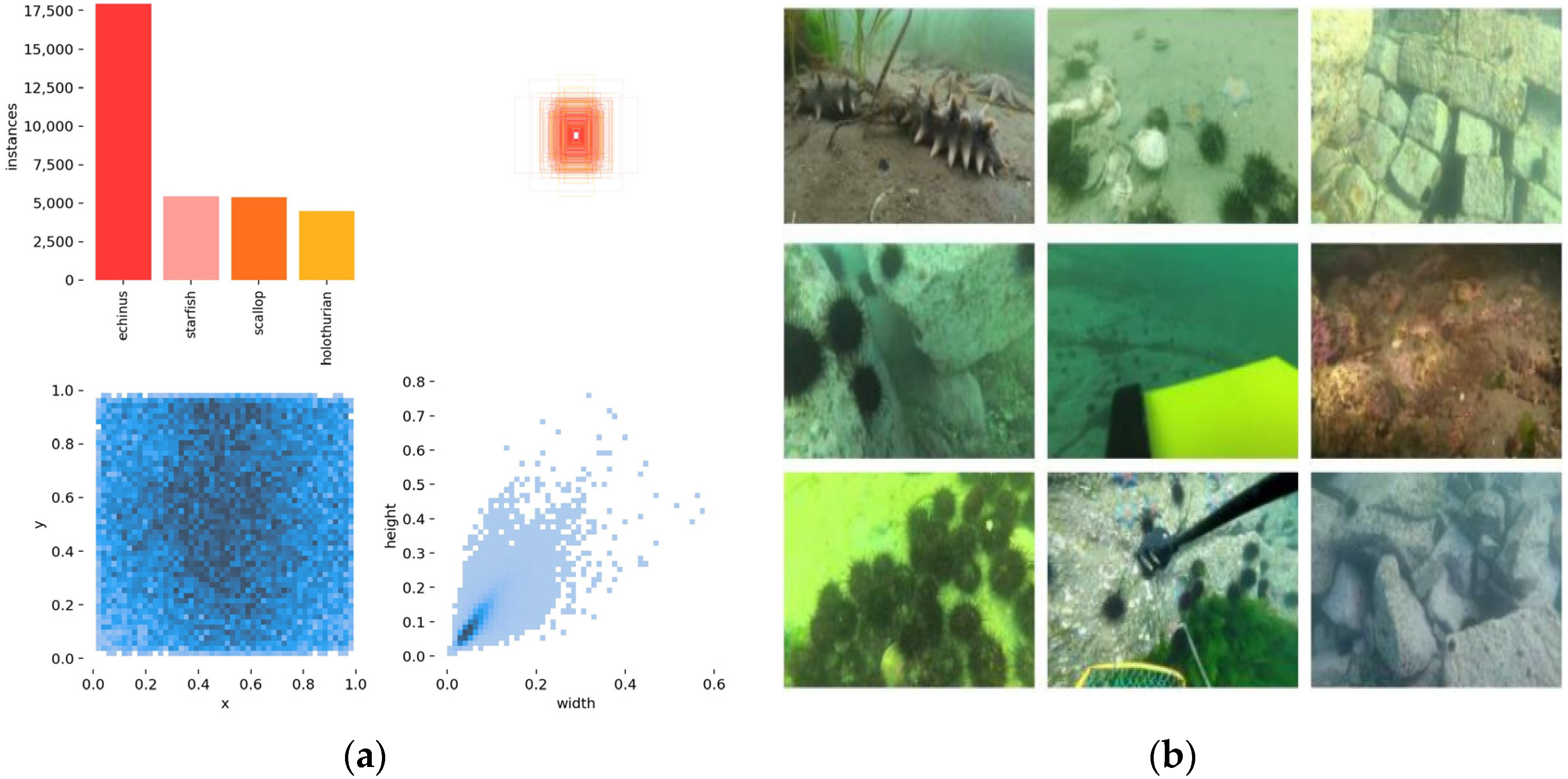 JMSE | Free Full-Text | Underwater-YCC: Underwater Target Detection ...