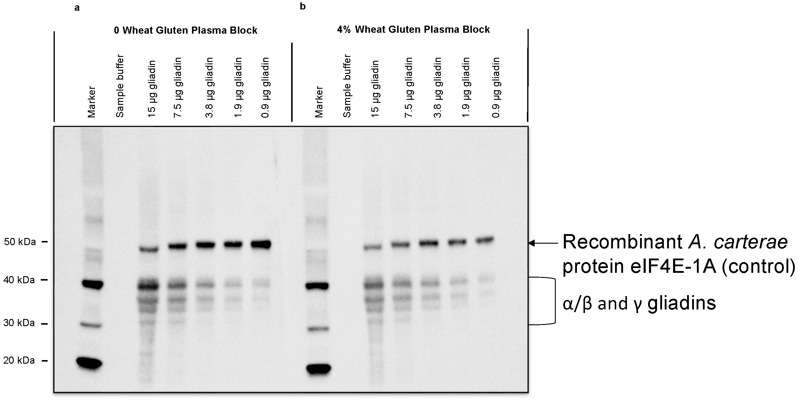 Jmse 11 01022 g003 Jmse 11 01022 g003