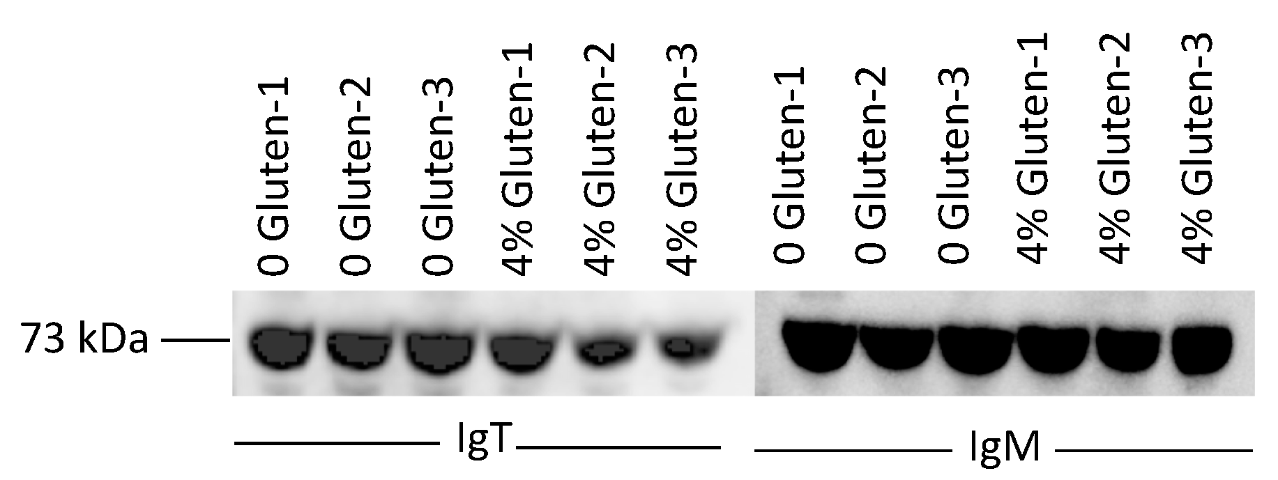 Jmse 11 01022 g004 Jmse 11 01022 g004