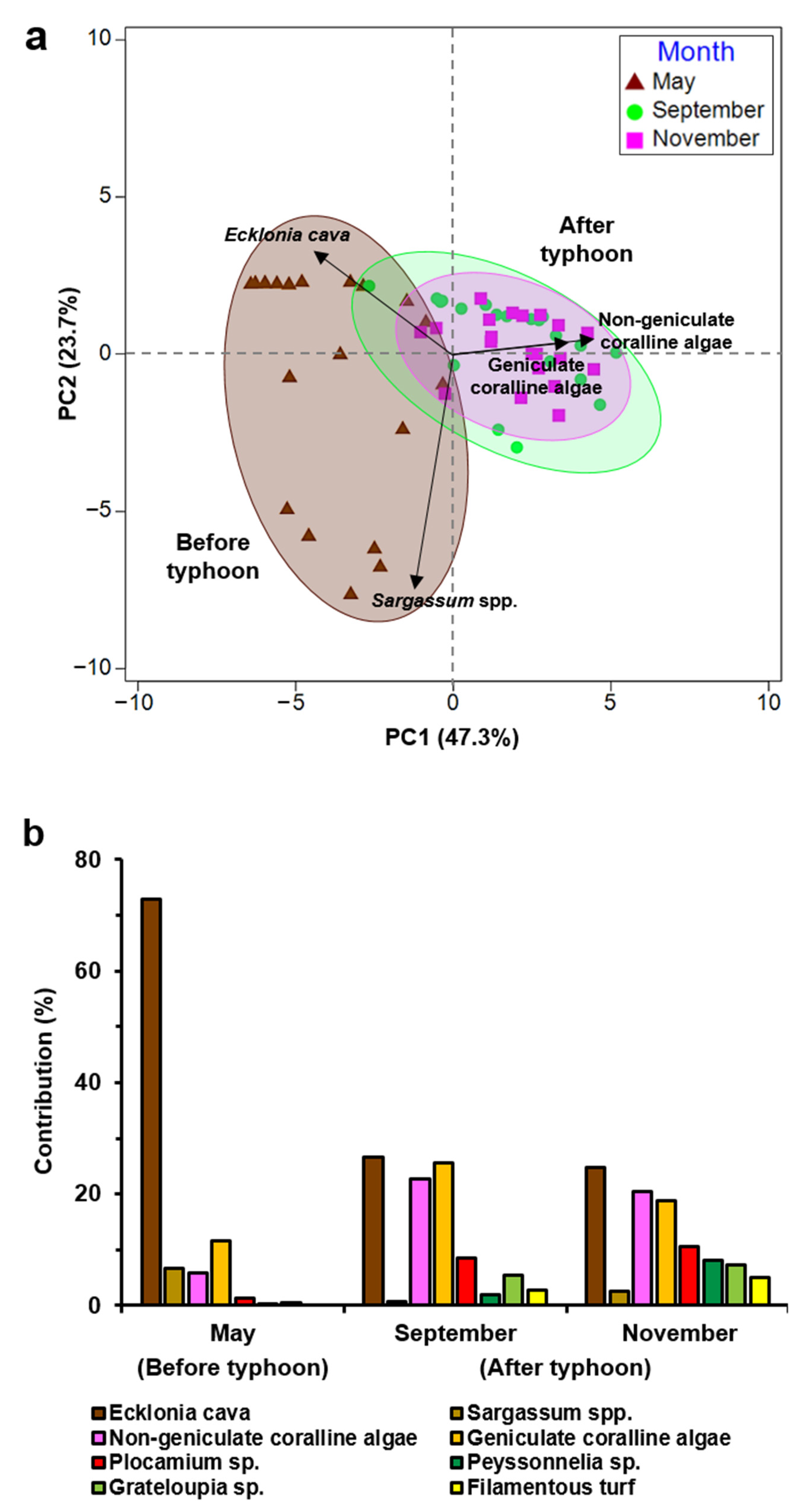 Jmse 11 01035 g005 Jmse 11 01035 g005