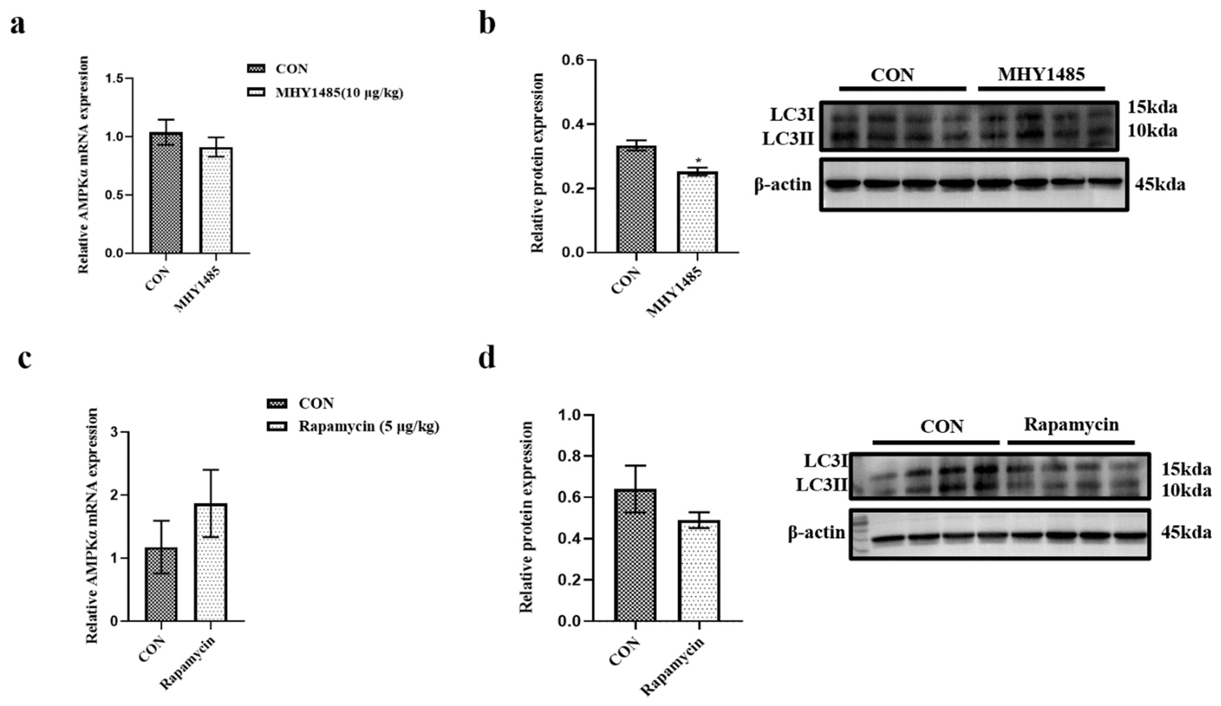 Jmse 11 01040 g005 Jmse 11 01040 g005