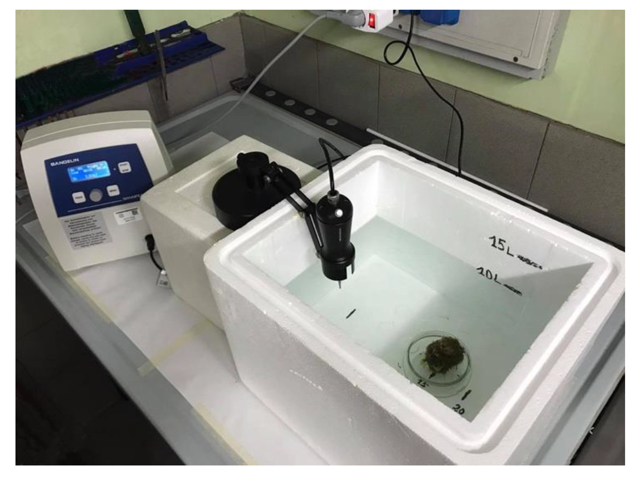 Jmse 11 01115 g004 Jmse 11 01115 g004