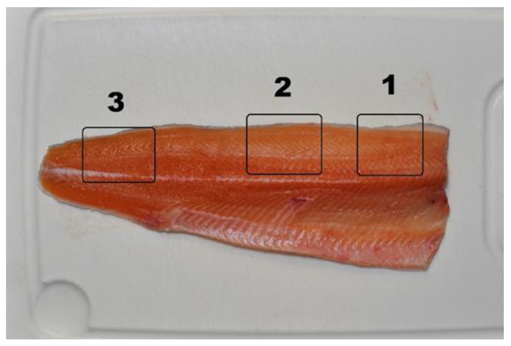 Jmse 11 01135 g001 Jmse 11 01135 g001