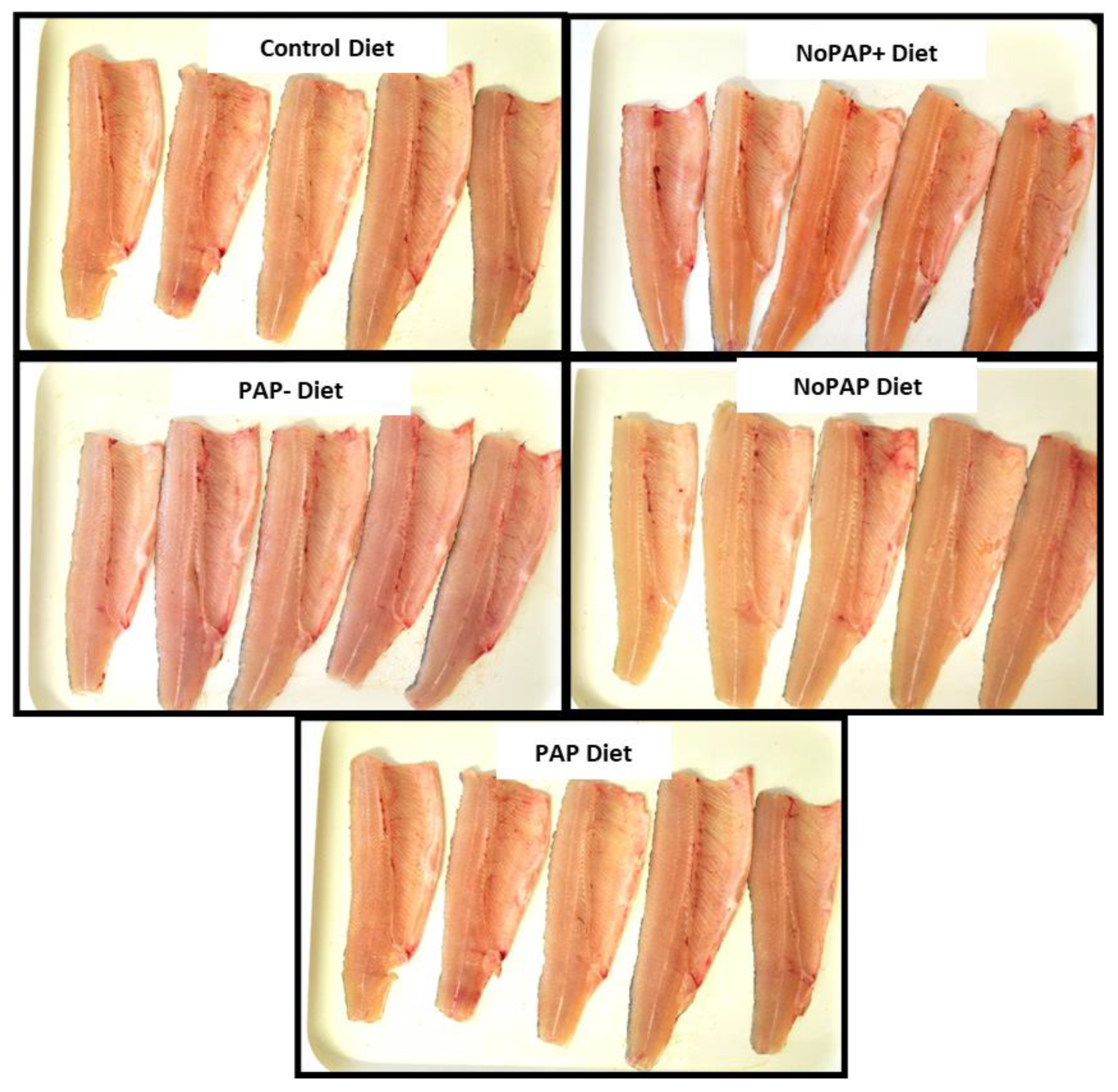 Jmse 11 01135 g003 Jmse 11 01135 g003