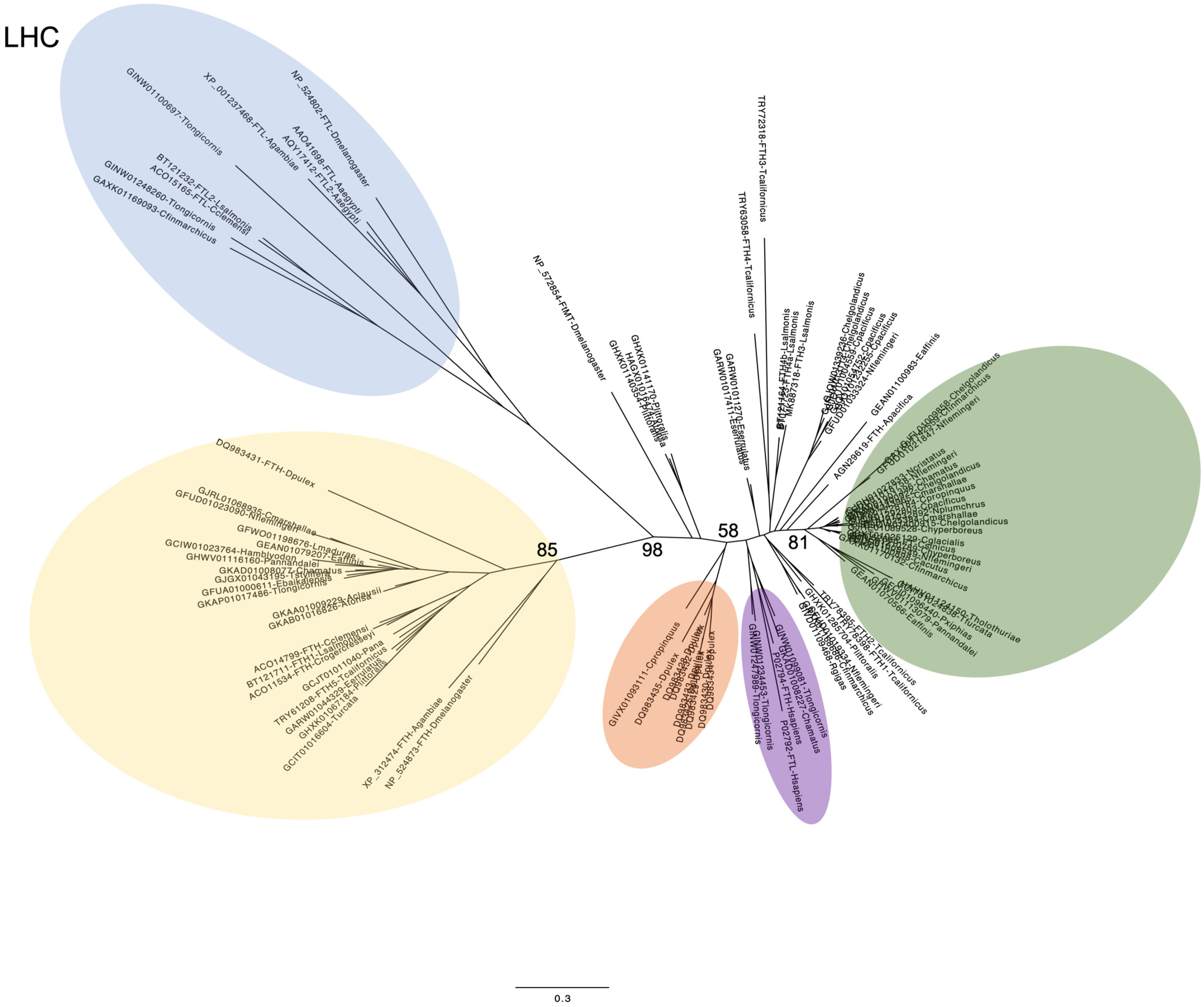 Jmse 11 01187 g001 Jmse 11 01187 g001