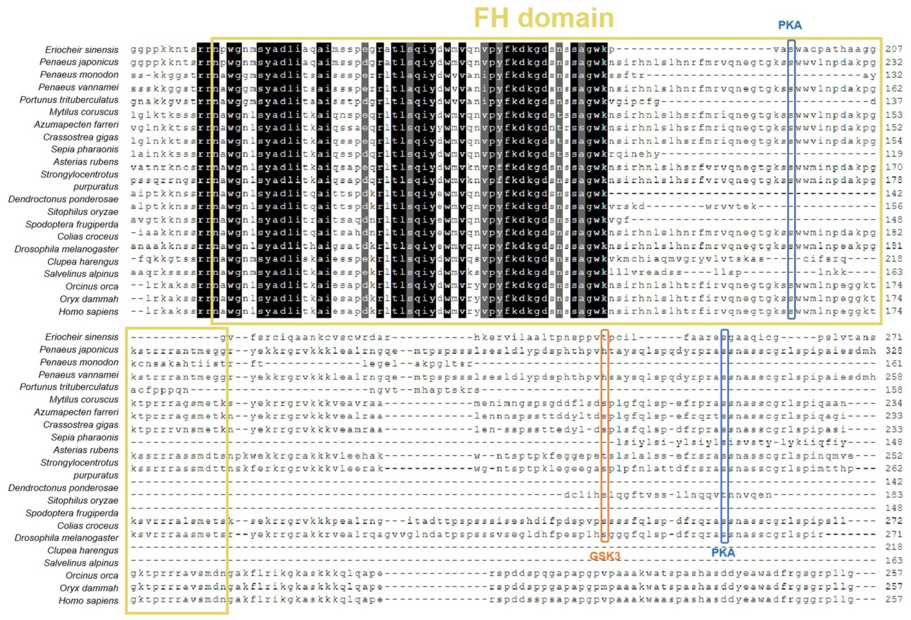 Jmse 11 01225 g002 Jmse 11 01225 g002