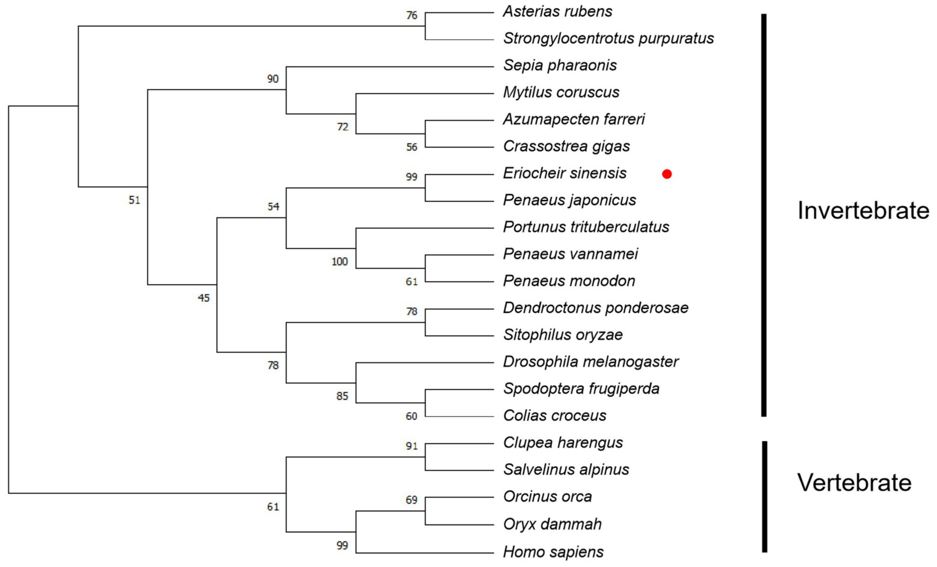 Jmse 11 01225 g003 Jmse 11 01225 g003