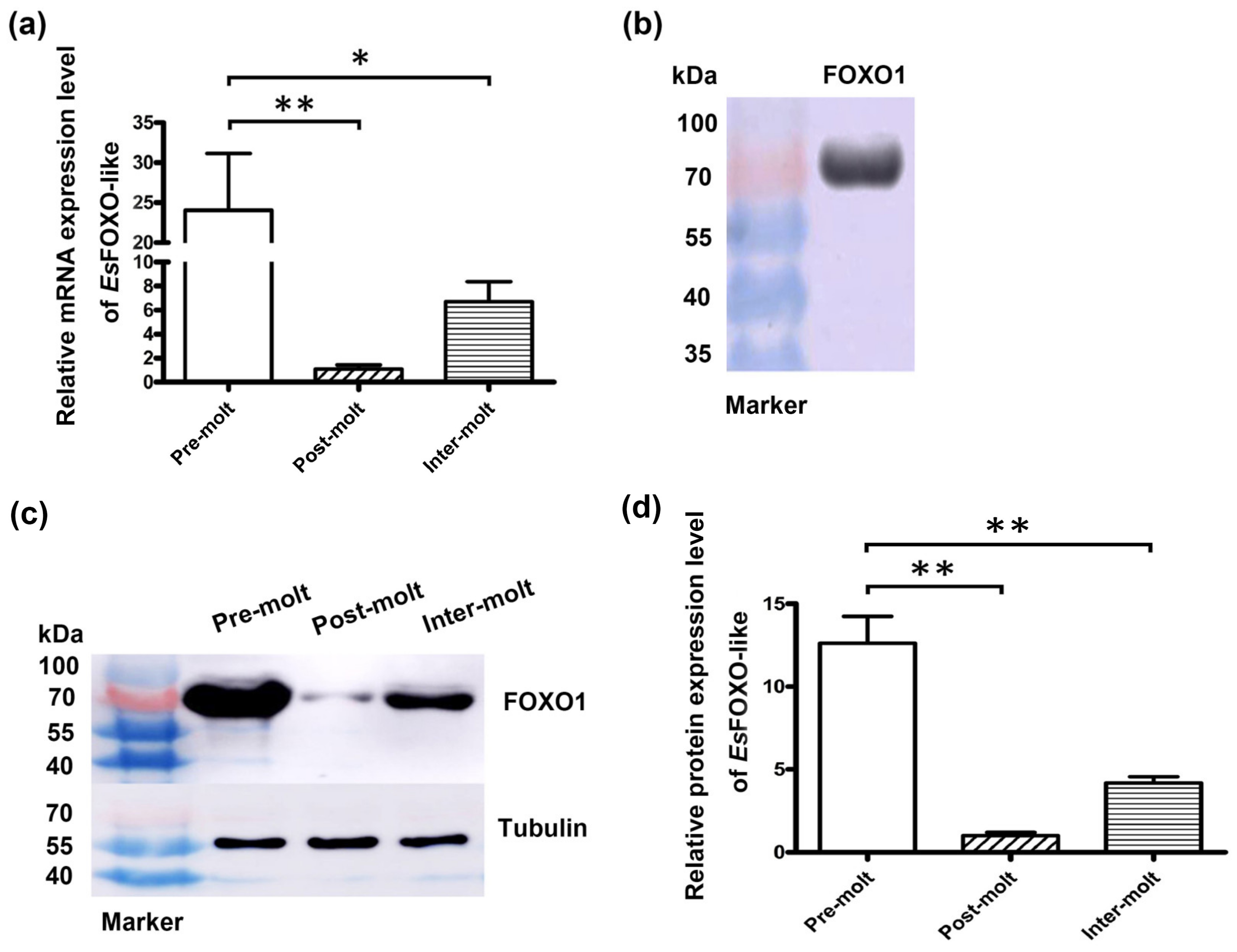 Jmse 11 01225 g005 Jmse 11 01225 g005