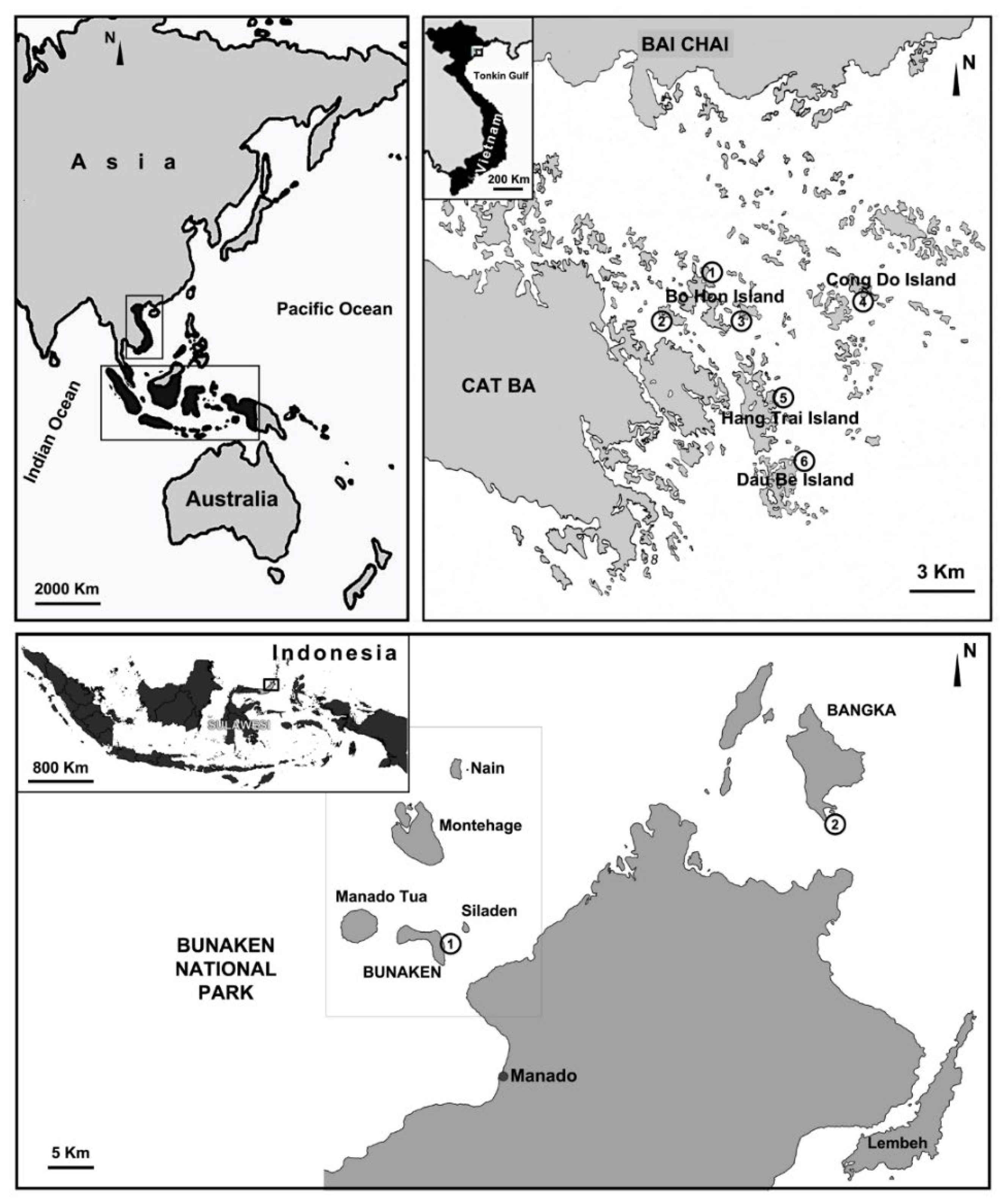 Jmse 11 01240 g001 Jmse 11 01240 g001