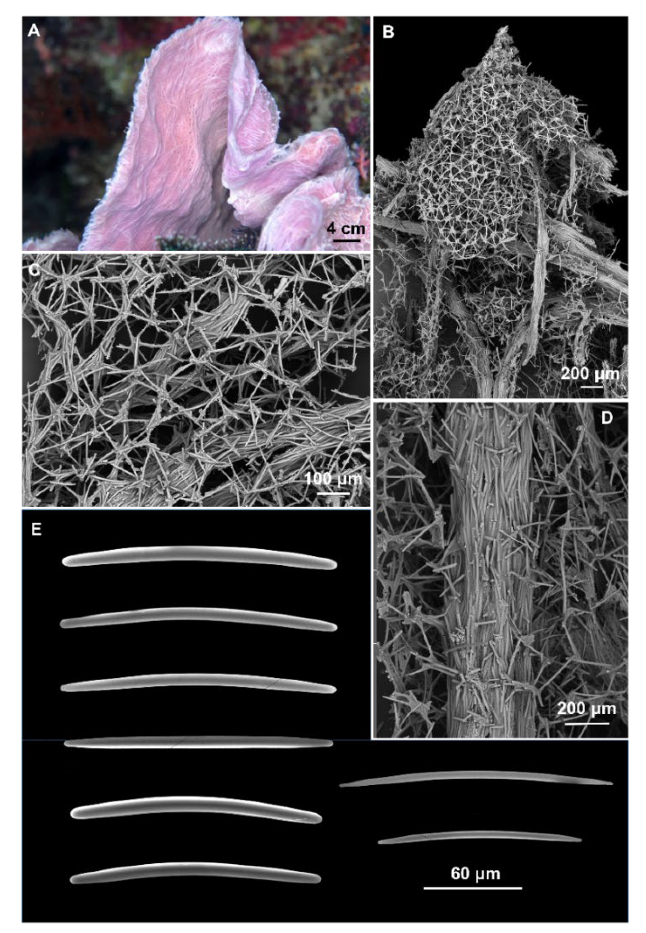 Jmse 11 01240 g002 Jmse 11 01240 g002