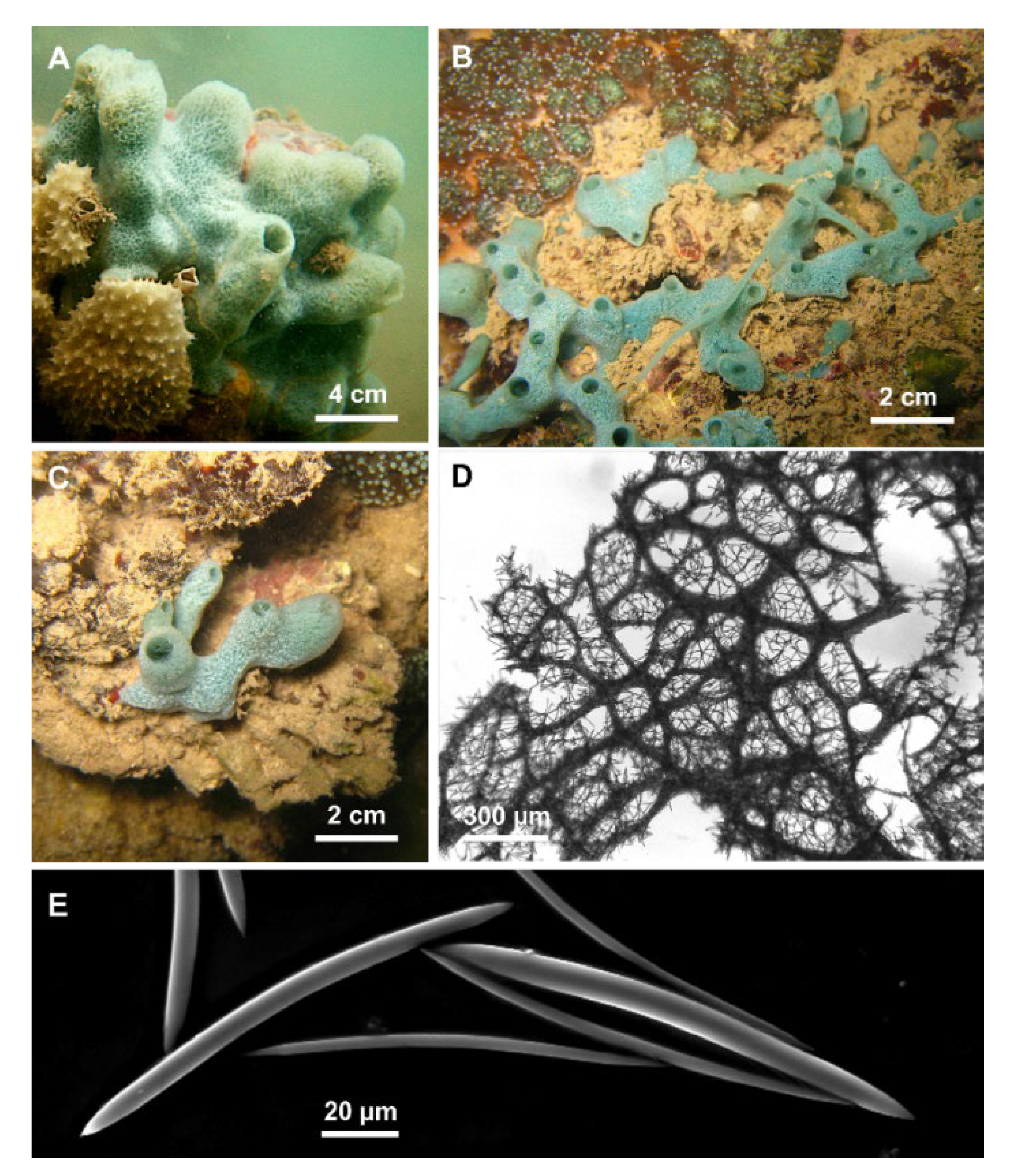 Jmse 11 01240 g003 Jmse 11 01240 g003