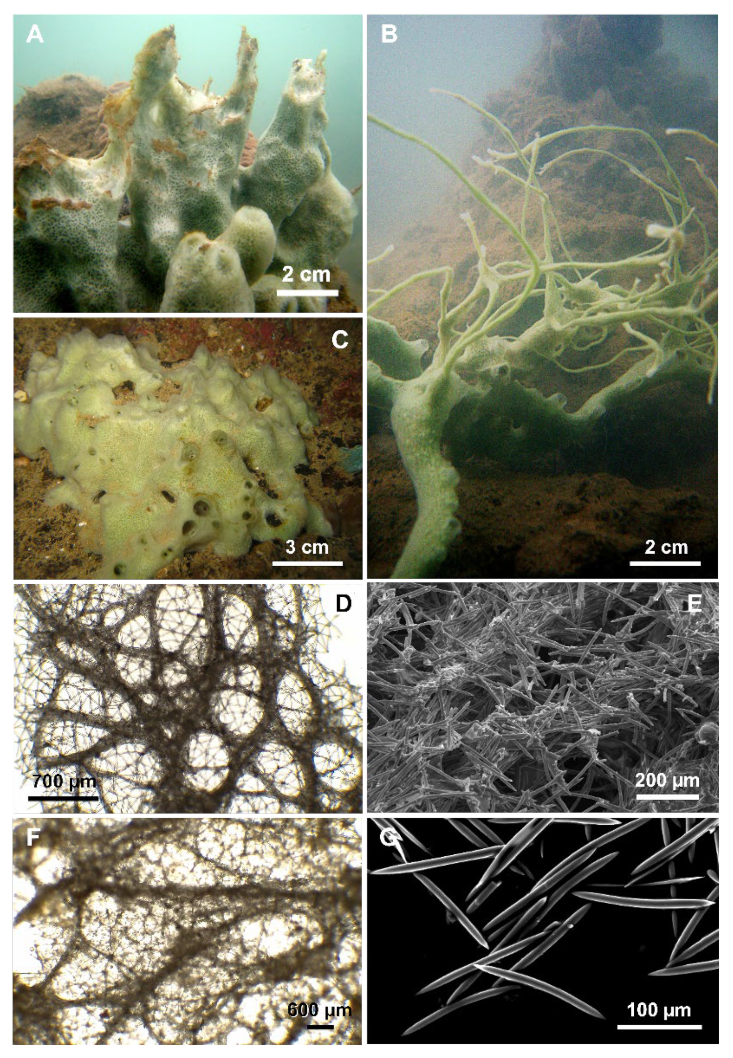 Jmse 11 01240 g005 Jmse 11 01240 g005