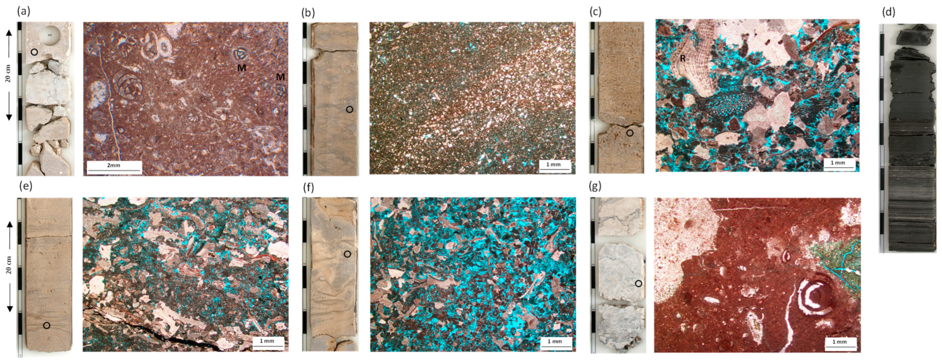 Jmse 11 01255 g003 Jmse 11 01255 g003