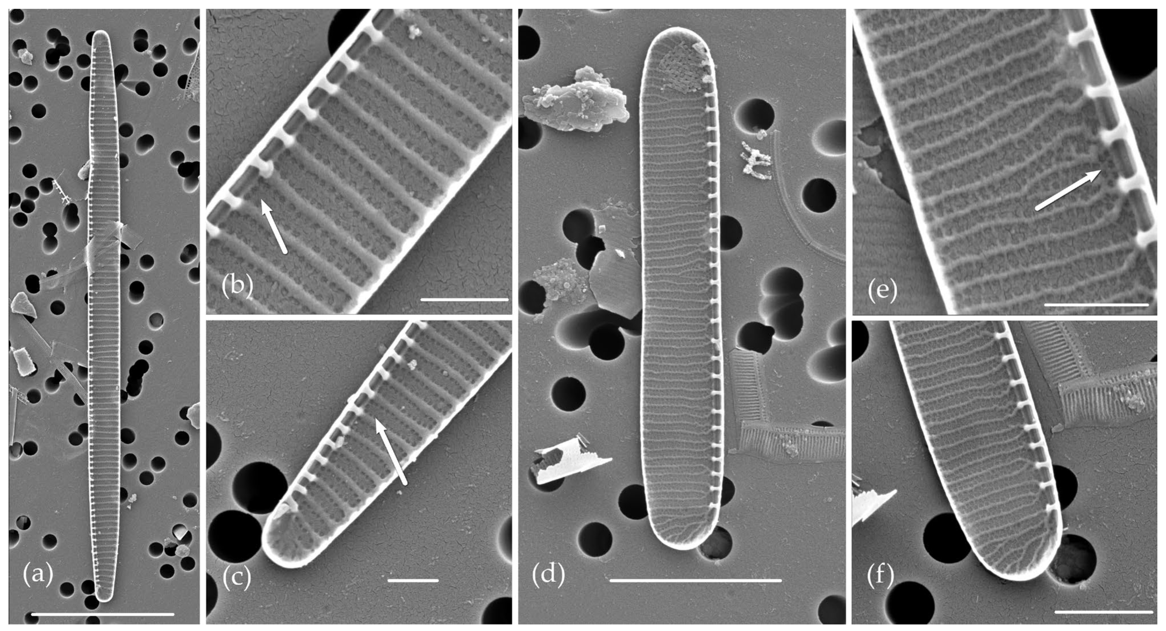 Jmse 11 01370 g004 Jmse 11 01370 g004