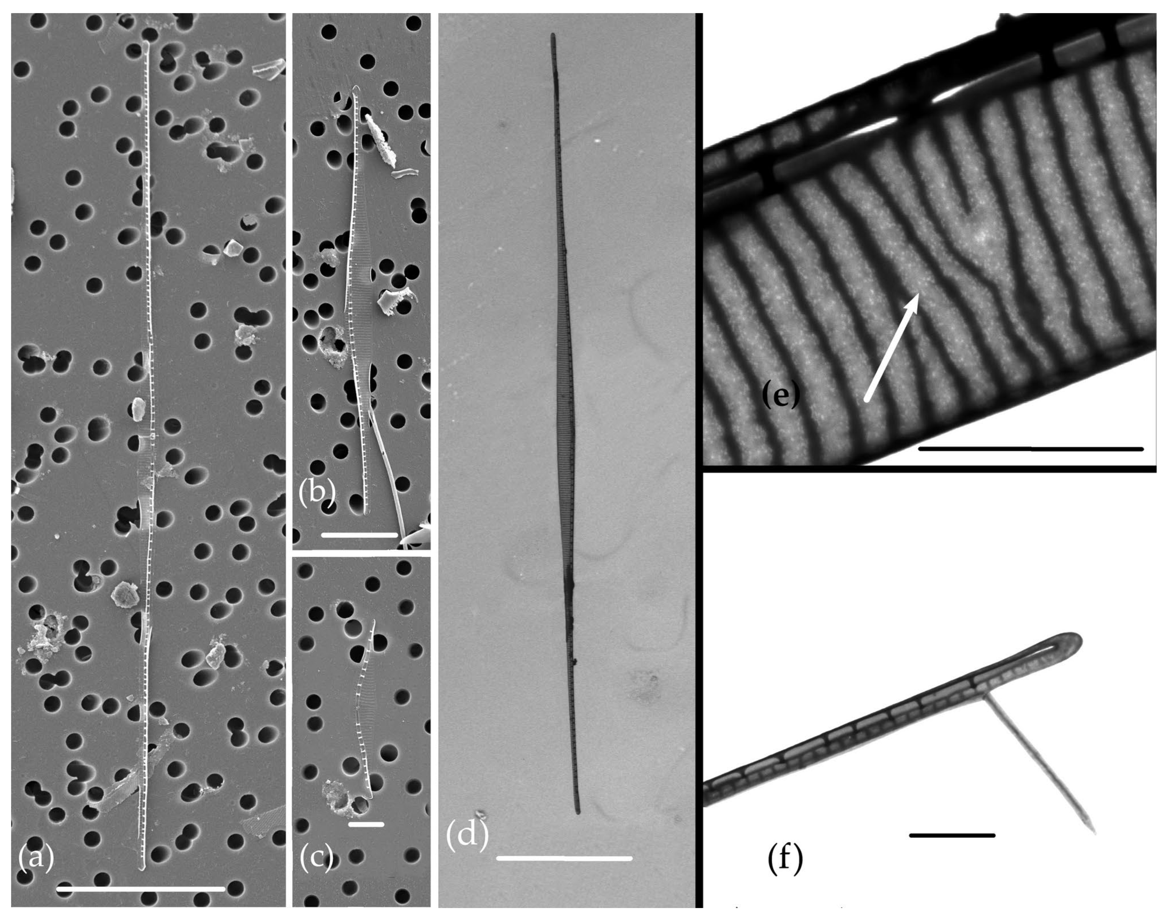 Jmse 11 01370 g005 Jmse 11 01370 g005