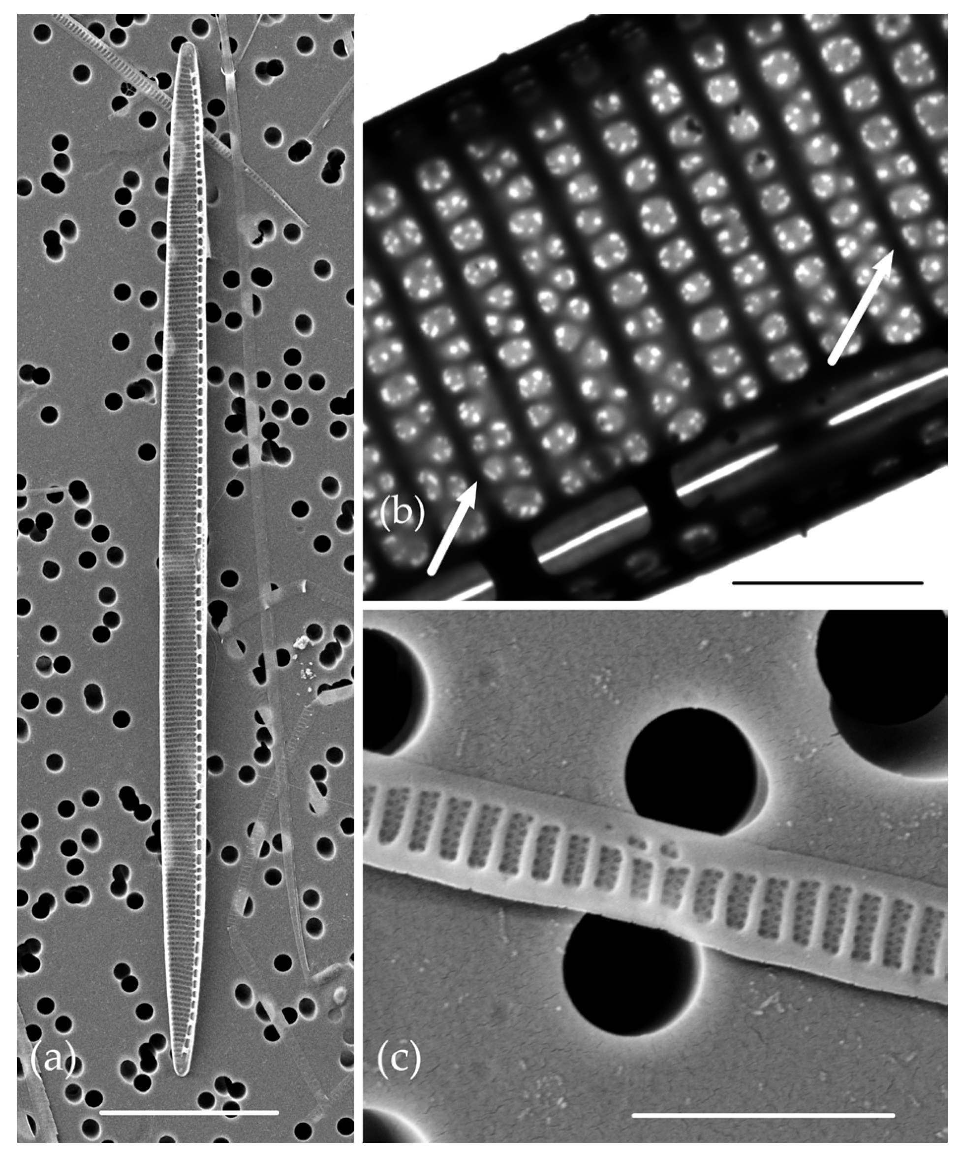 Jmse 11 01370 g006 Jmse 11 01370 g006