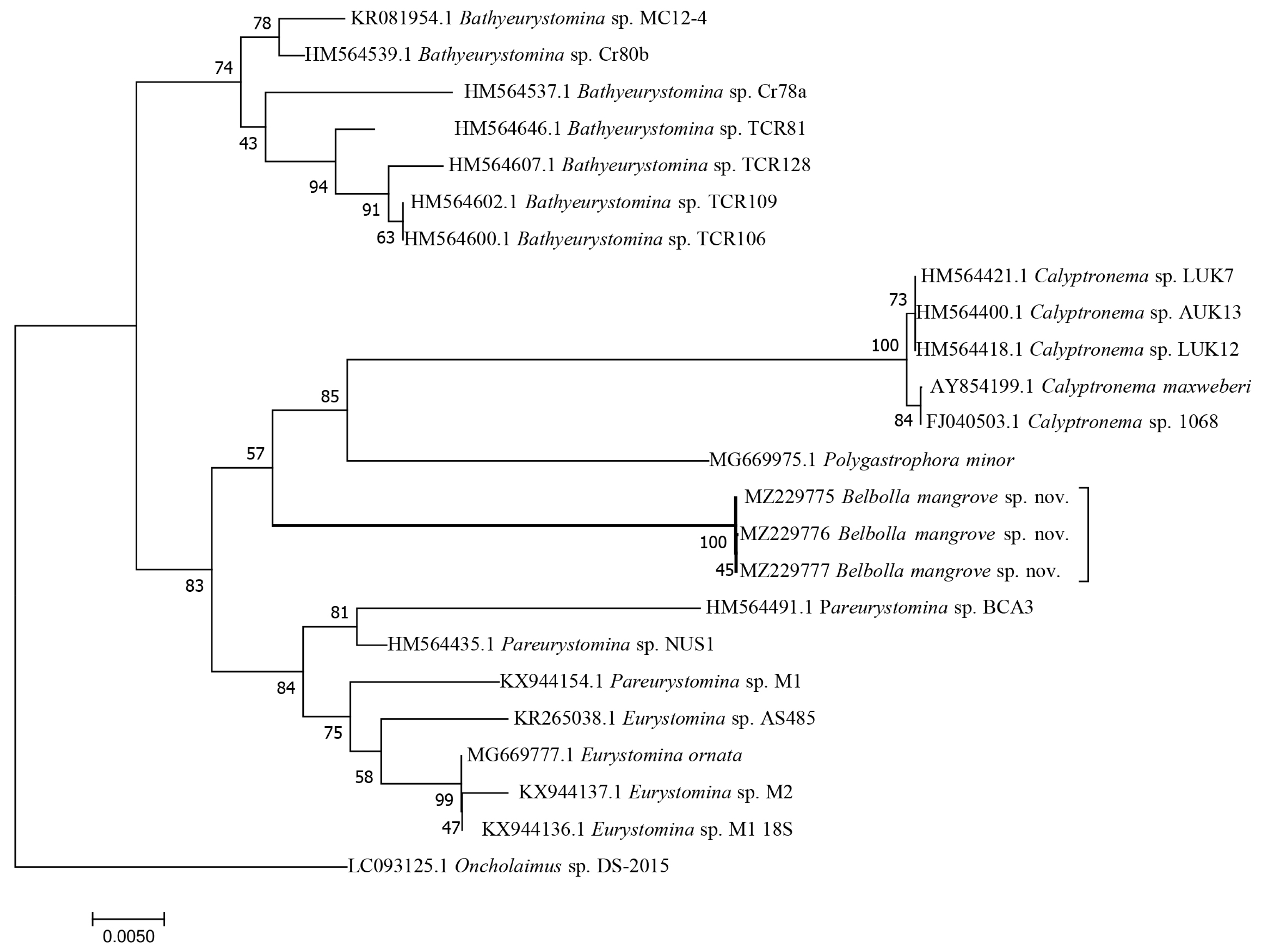 Jmse 11 01412 g003 Jmse 11 01412 g003