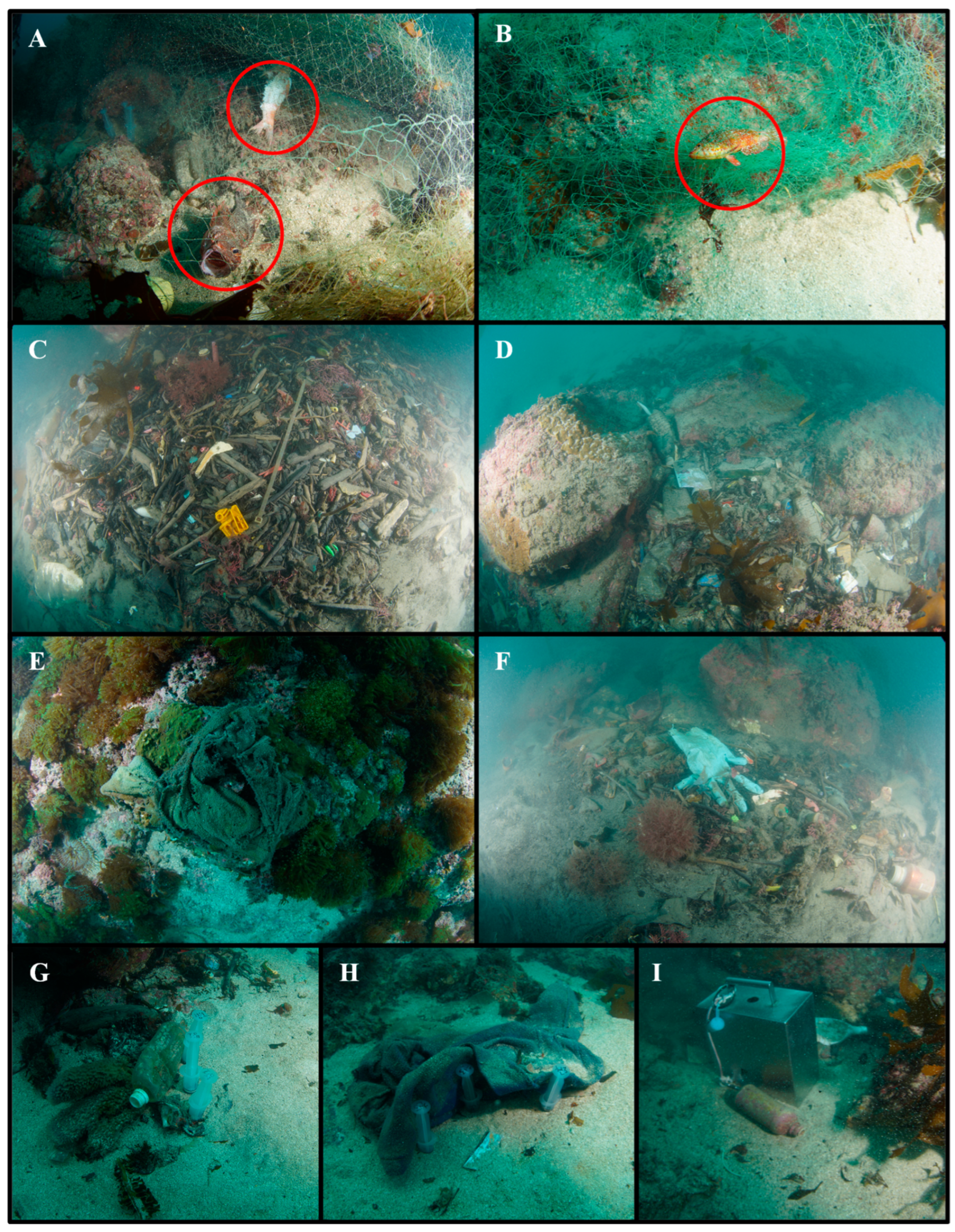 Jmse 11 01427 g002 Jmse 11 01427 g002