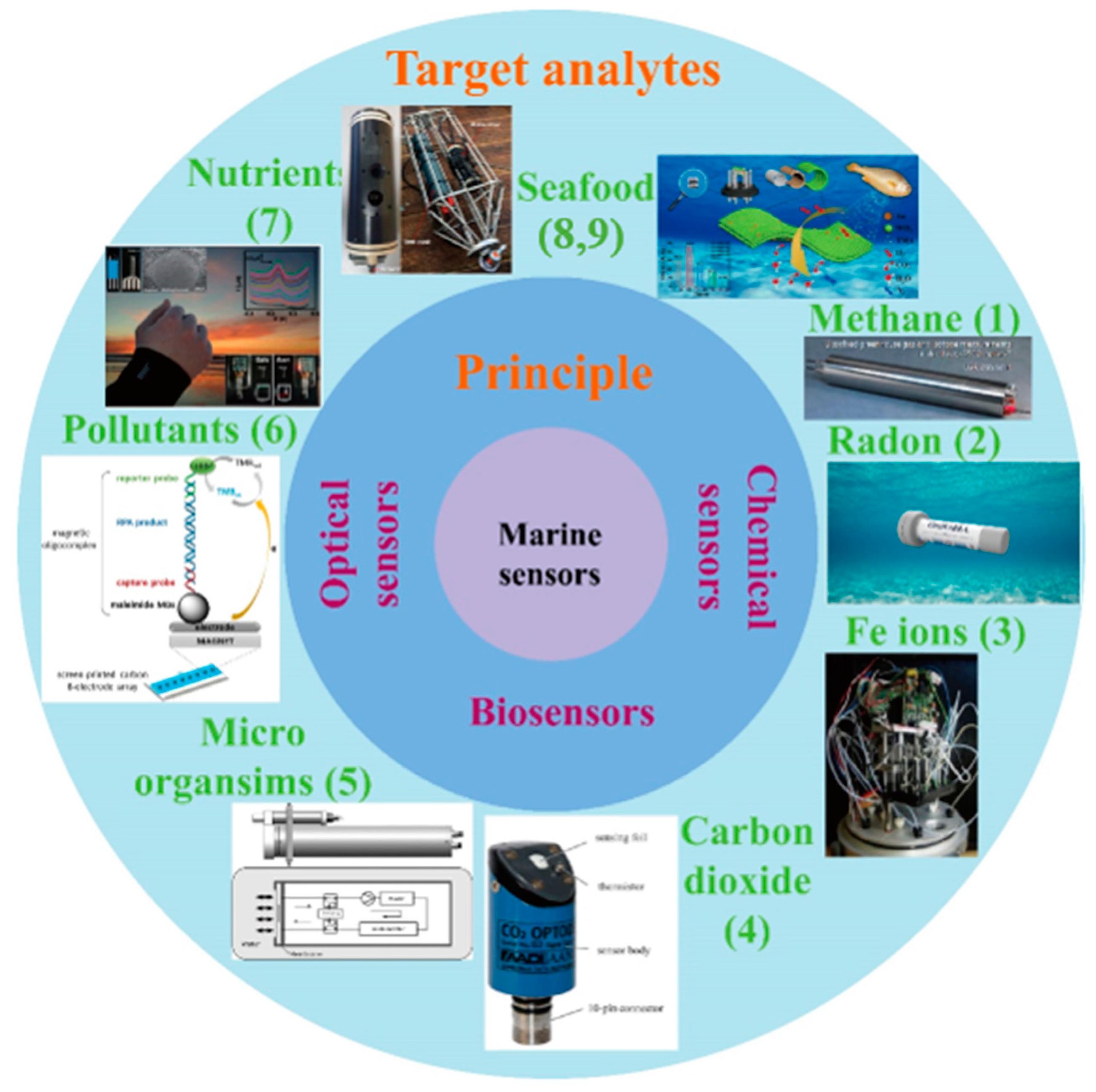 JMSE | Free Full-Text | A Review of Marine In Situ Sensors and JMSE | Free Full-Text | A Review of Marine In Situ Sensors and