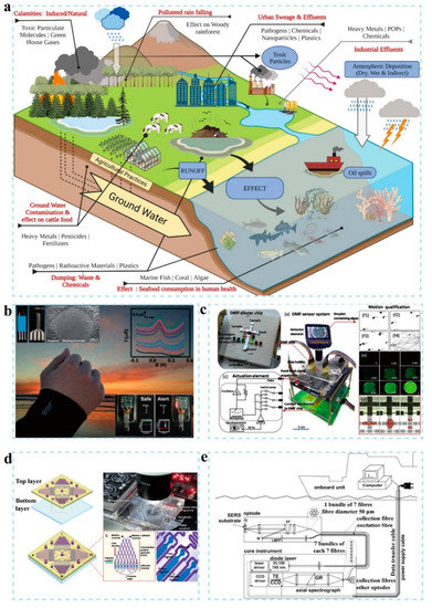 A Review of Marine In Situ Sensors and Biosensors