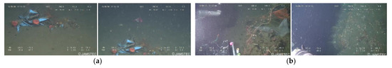 Real-Time Instance Segmentation for Detection of Underwater Litter as a ...