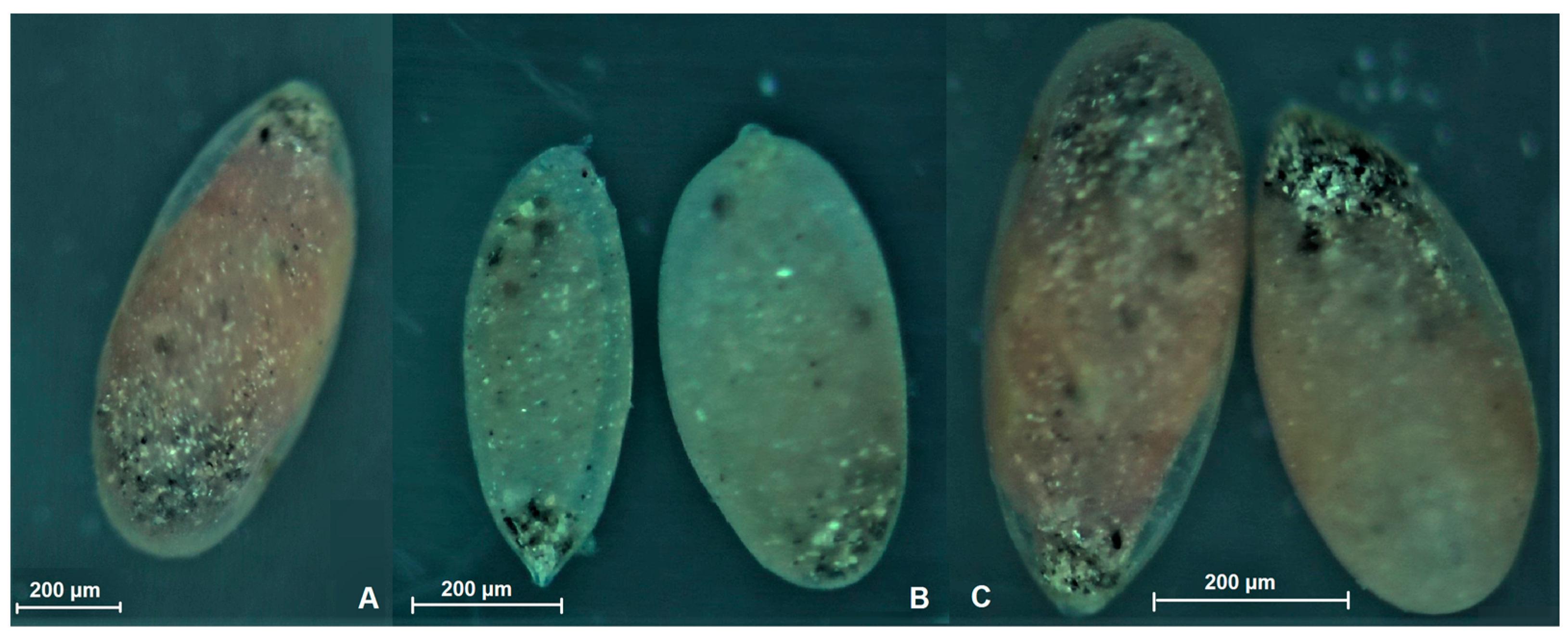 Jmse 11 01546 g004 Jmse 11 01546 g004