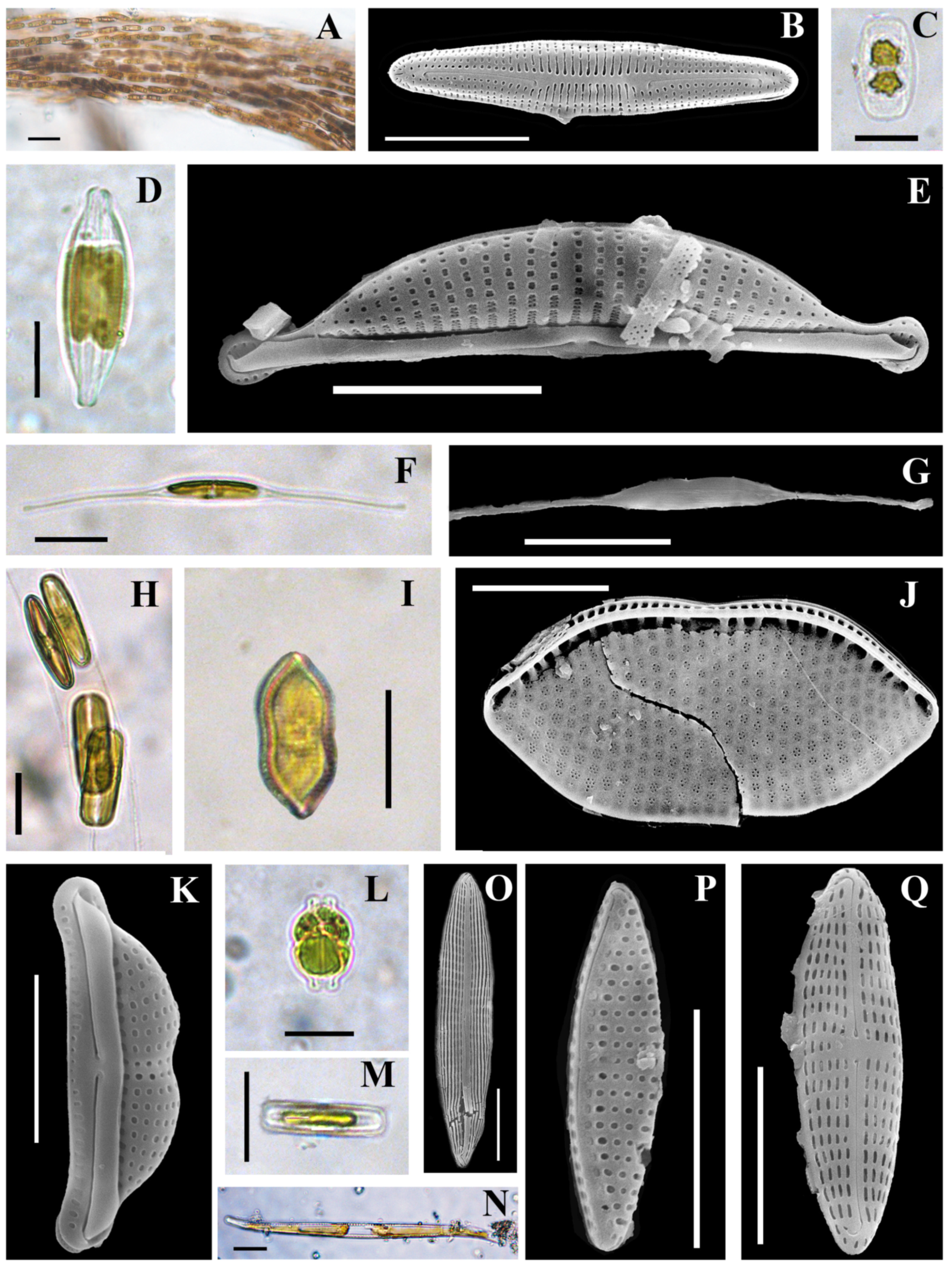 Jmse 11 01569 g006 Jmse 11 01569 g006