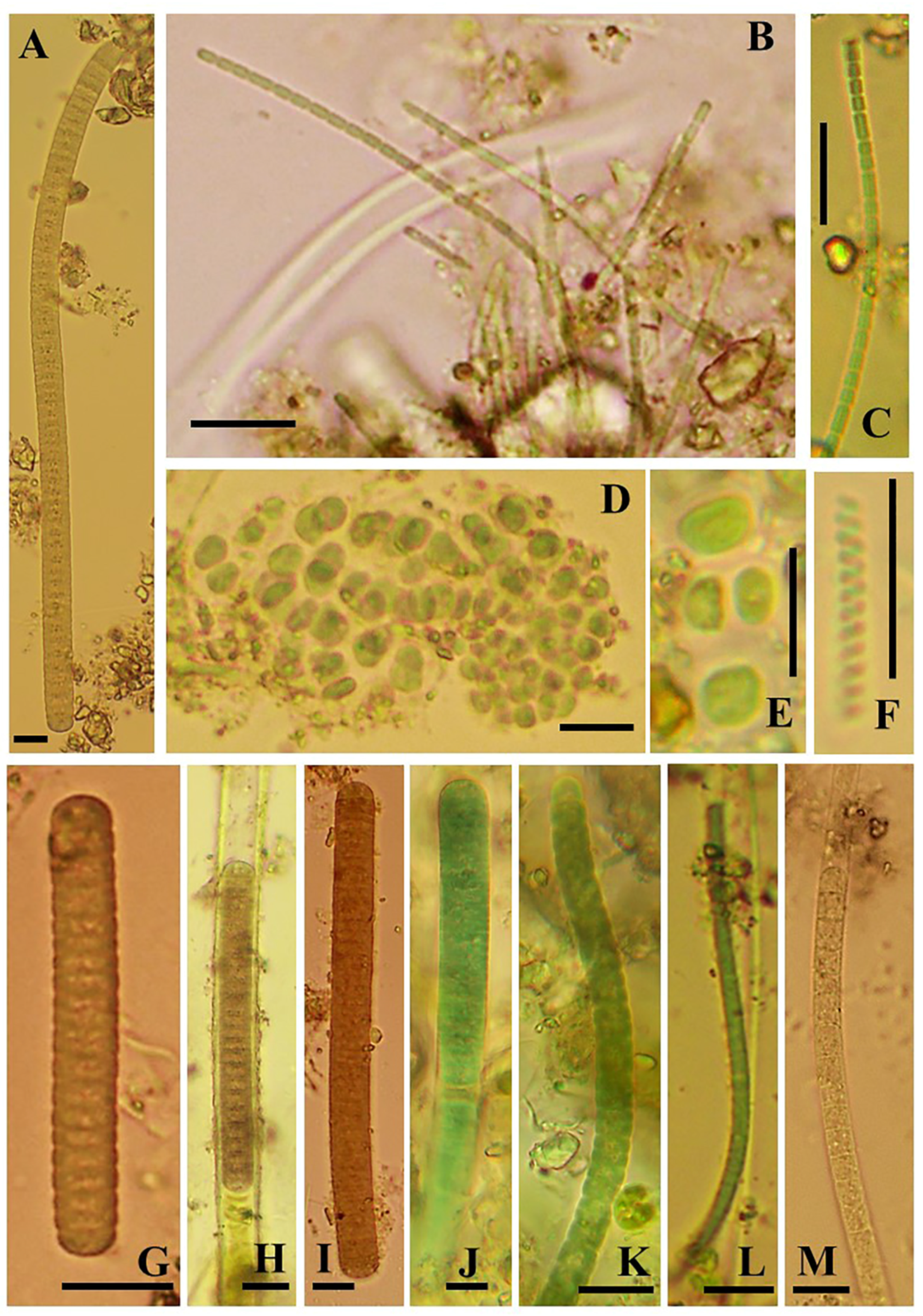 Jmse 11 01569 g007 Jmse 11 01569 g007