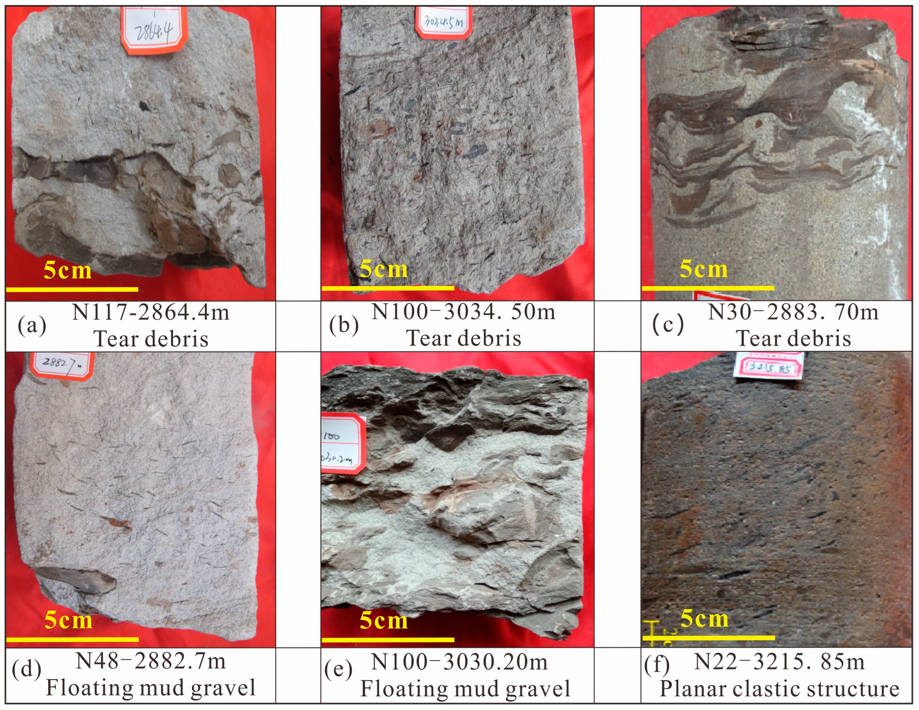 話題の人気 Sedimentary Characteristics and Model of Lacustrine Deep 模型製作用品