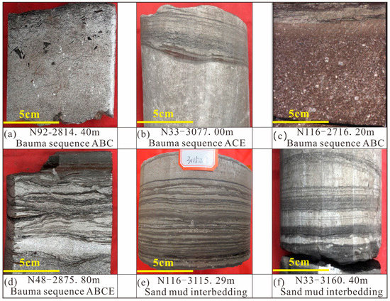 Sedimentary Characteristics and Model of Lacustrine Deep Water Gravity Flow  in the Third Member of Paleogene Shahejie Formation in Niuzhuang Sag, Bohai  Bay Basin, China