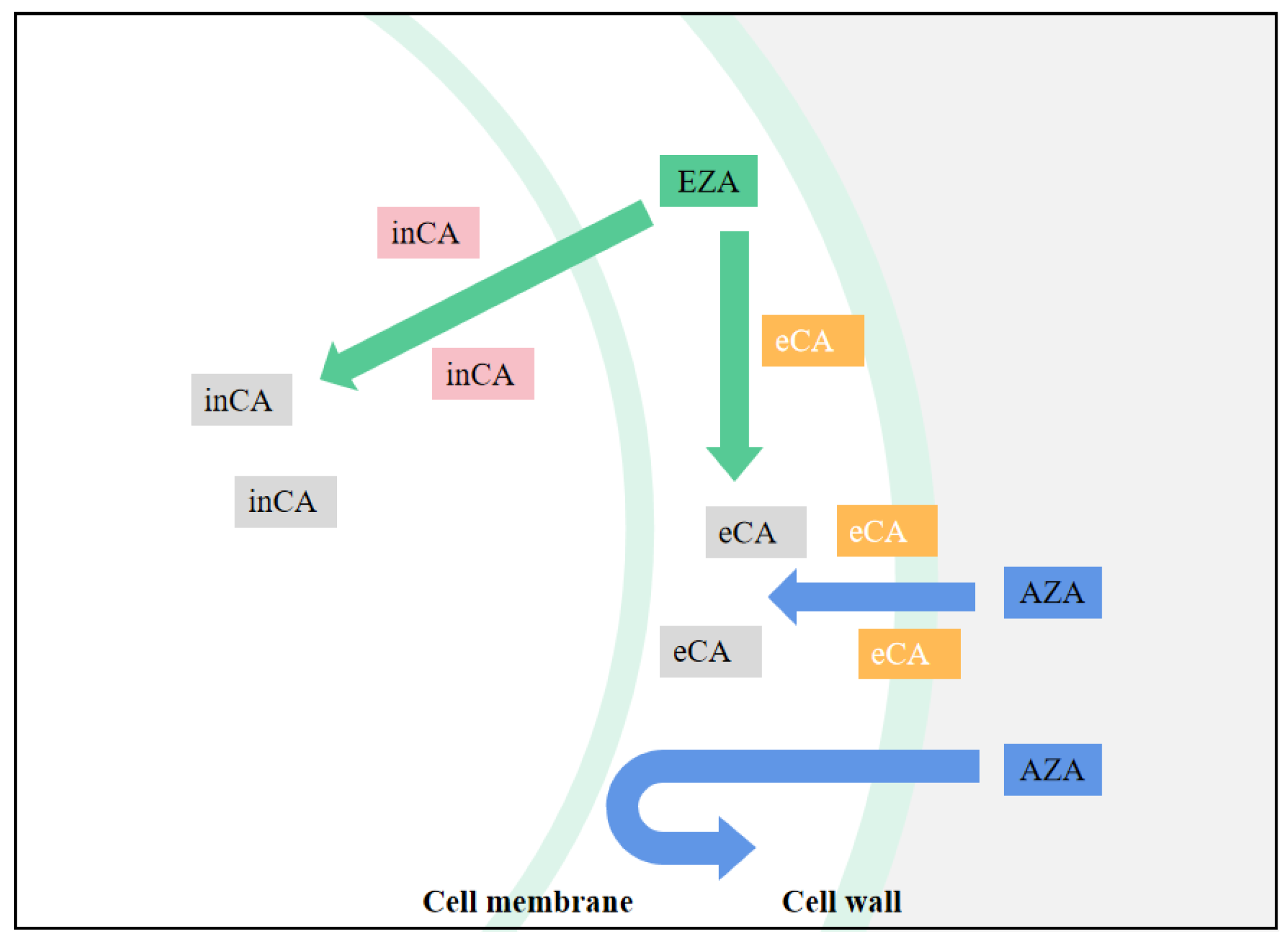 Jmse 11 01911 g003 Jmse 11 01911 g003