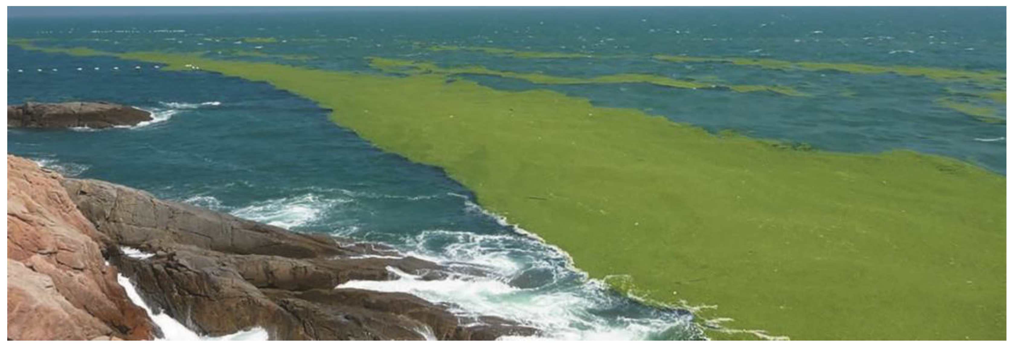 Jmse 11 01911 g004 Jmse 11 01911 g004