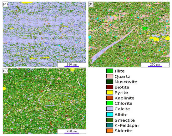 Nanopore Structure and Multifractal Characteristics of