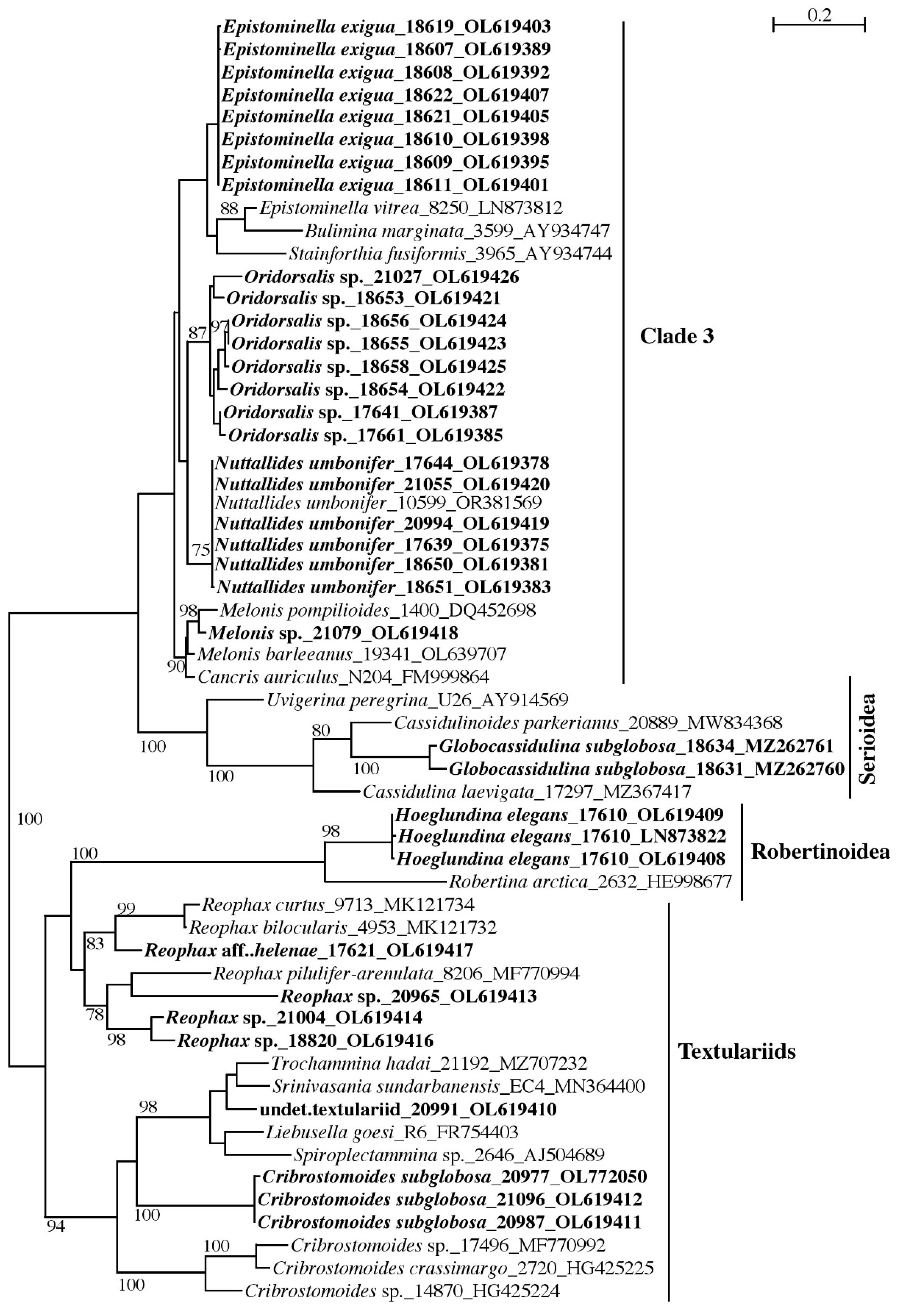Jmse 11 02038 g003 Jmse 11 02038 g003