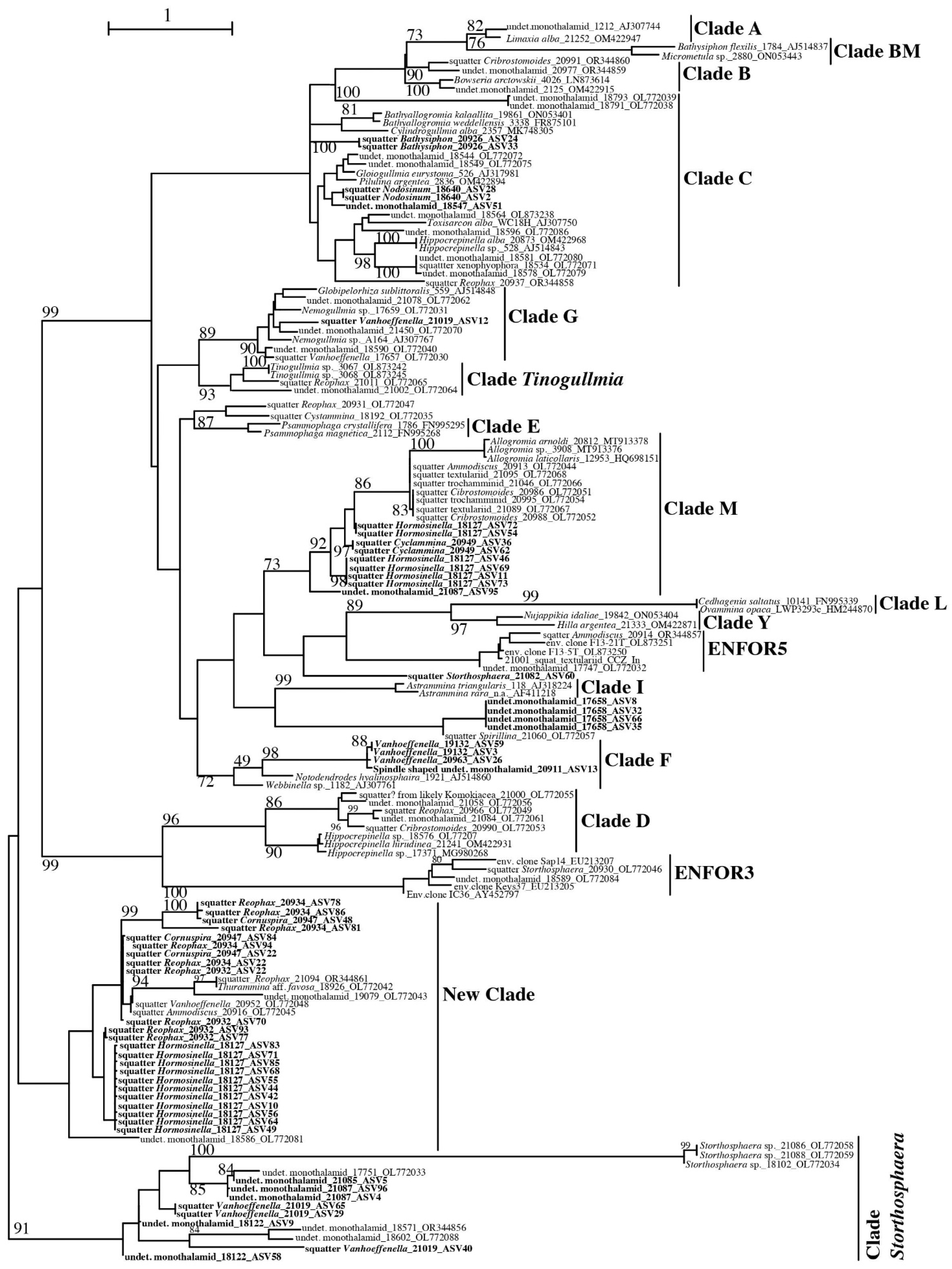 Jmse 11 02038 g004 Jmse 11 02038 g004