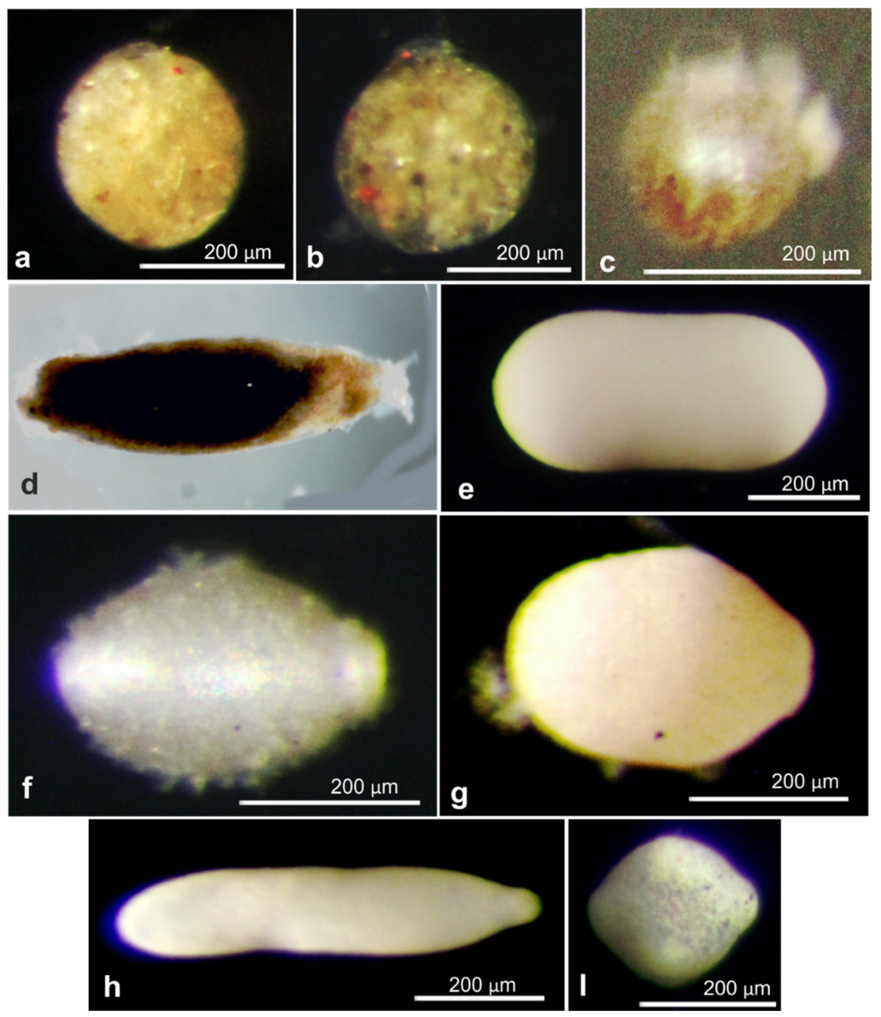 Jmse 11 02038 g0a1 Jmse 11 02038 g0a1