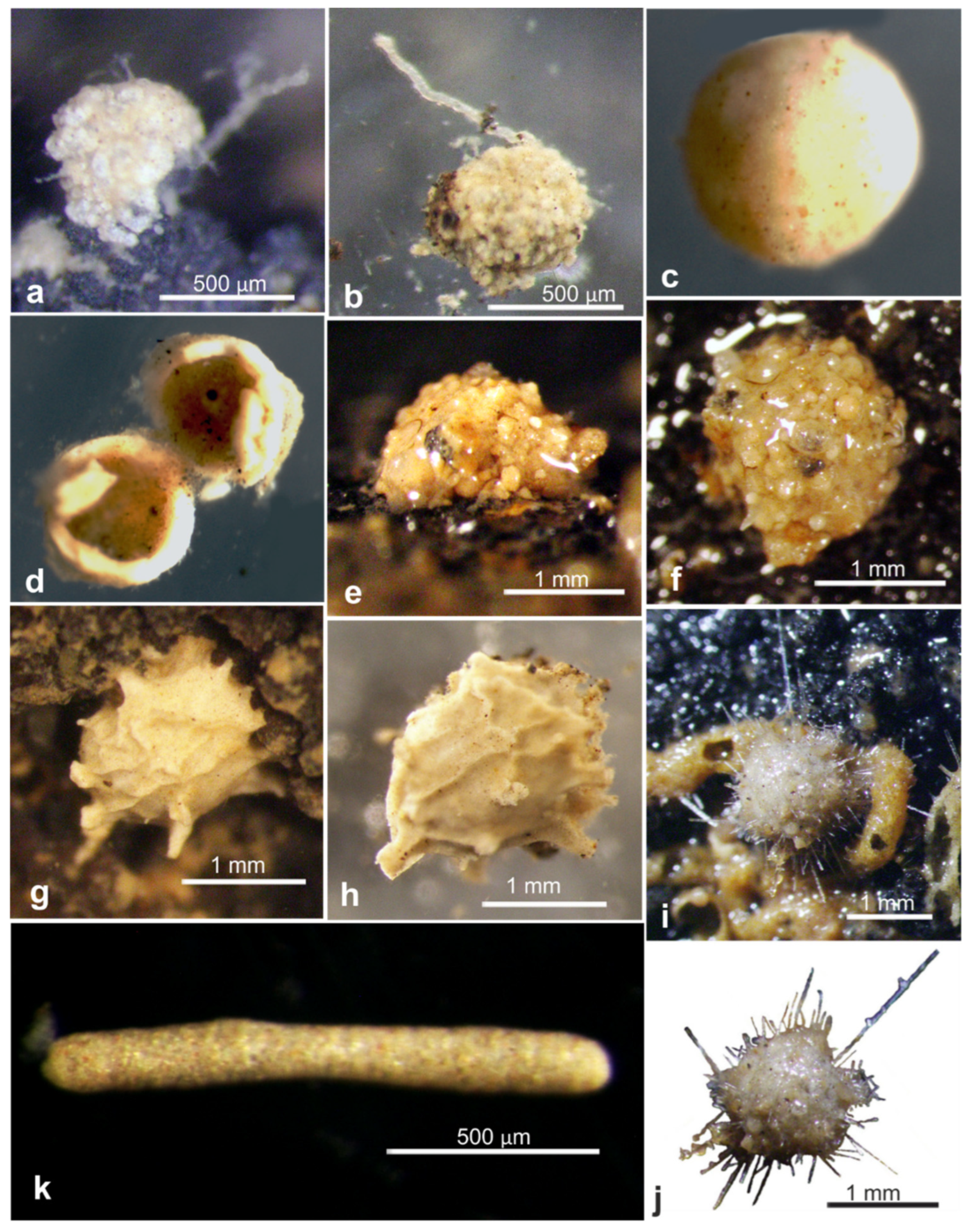 Jmse 11 02038 g0a3 Jmse 11 02038 g0a3