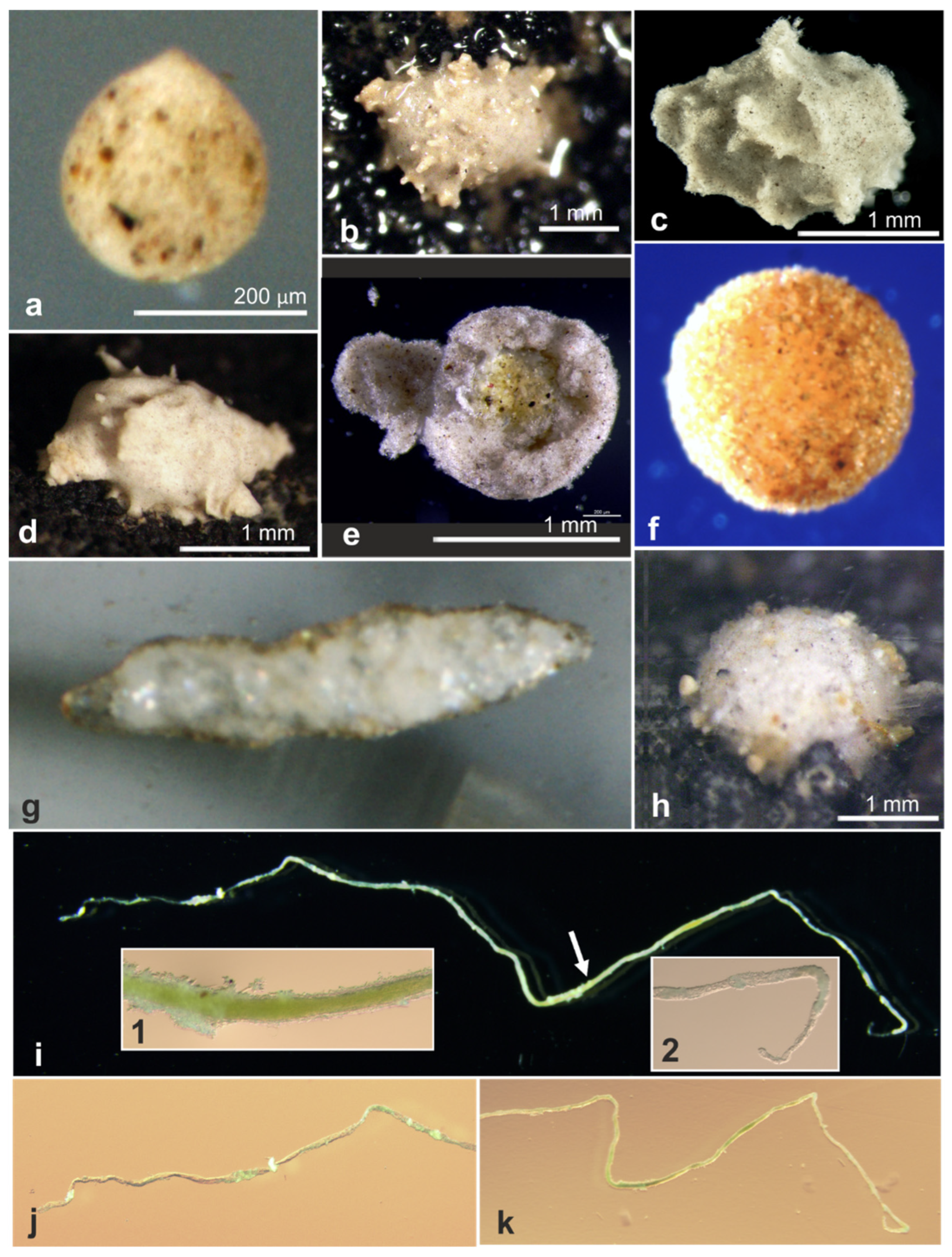 Jmse 11 02038 g0a4 Jmse 11 02038 g0a4