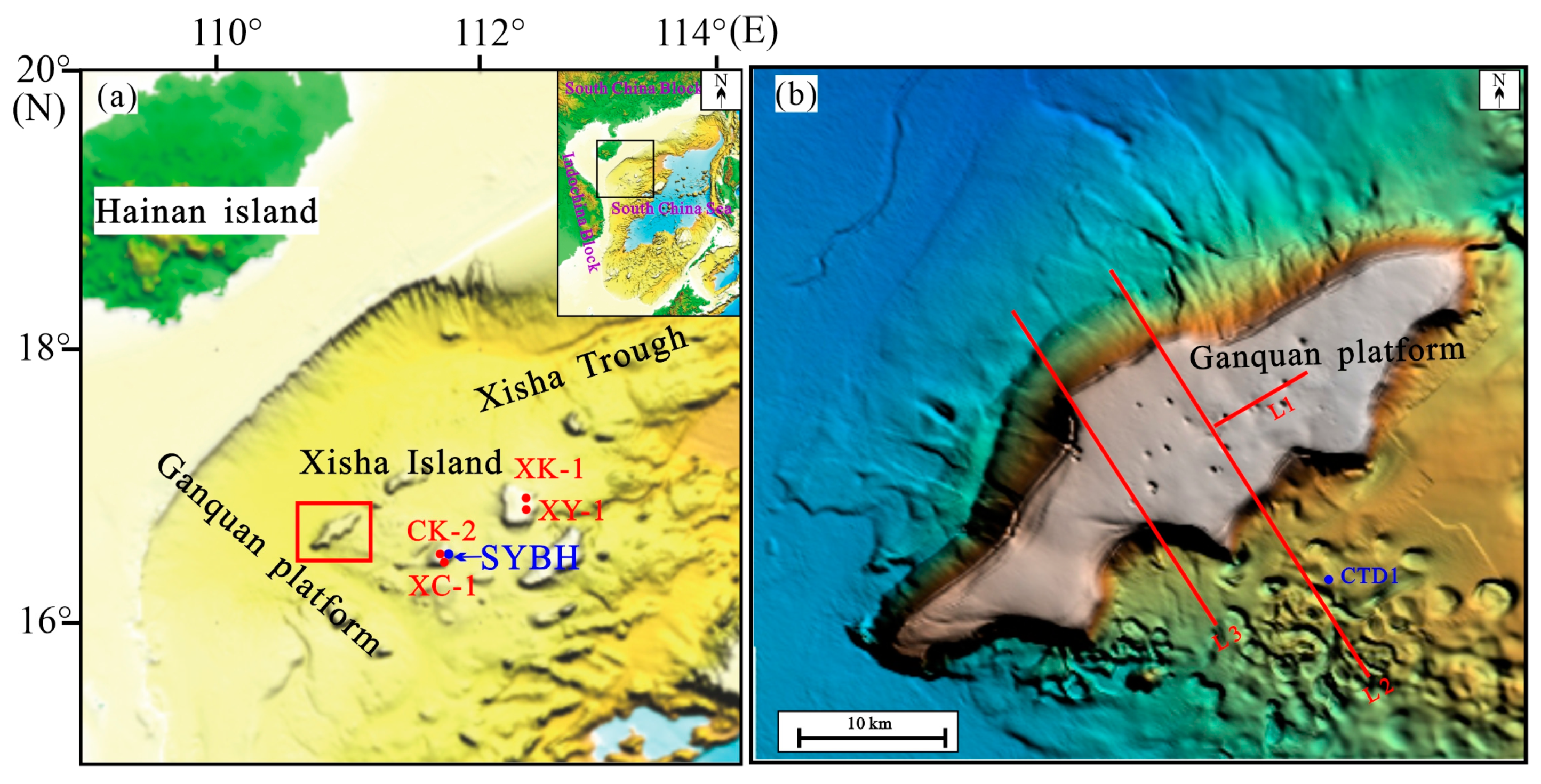 First Documentation of Large Submarine Sinkholes on the