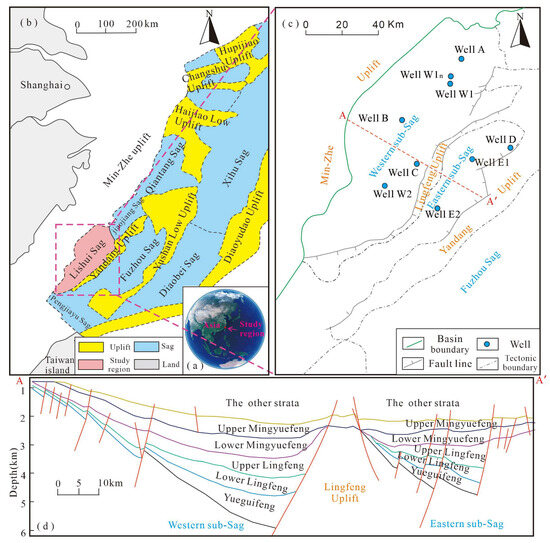 Water Light Series 9本セット Paleoenvironmental Evolution and Organic Matter Accumulation
