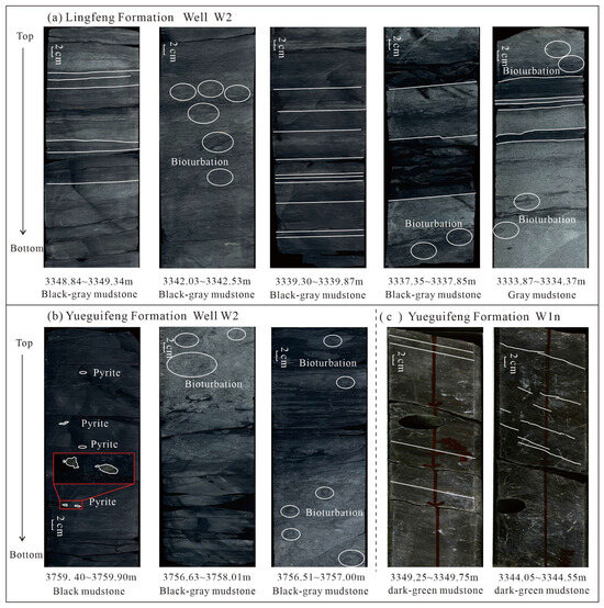 earth from above 「NUMBERED WITH THE 〜 Don't panic, but the largest asteroid flyby of 2021 happens